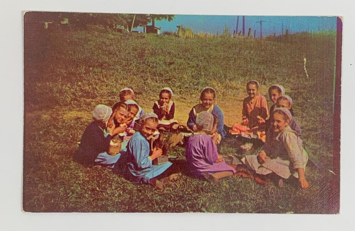 Amish School Children near Springs in Somerset County Pennsylvania Postcard