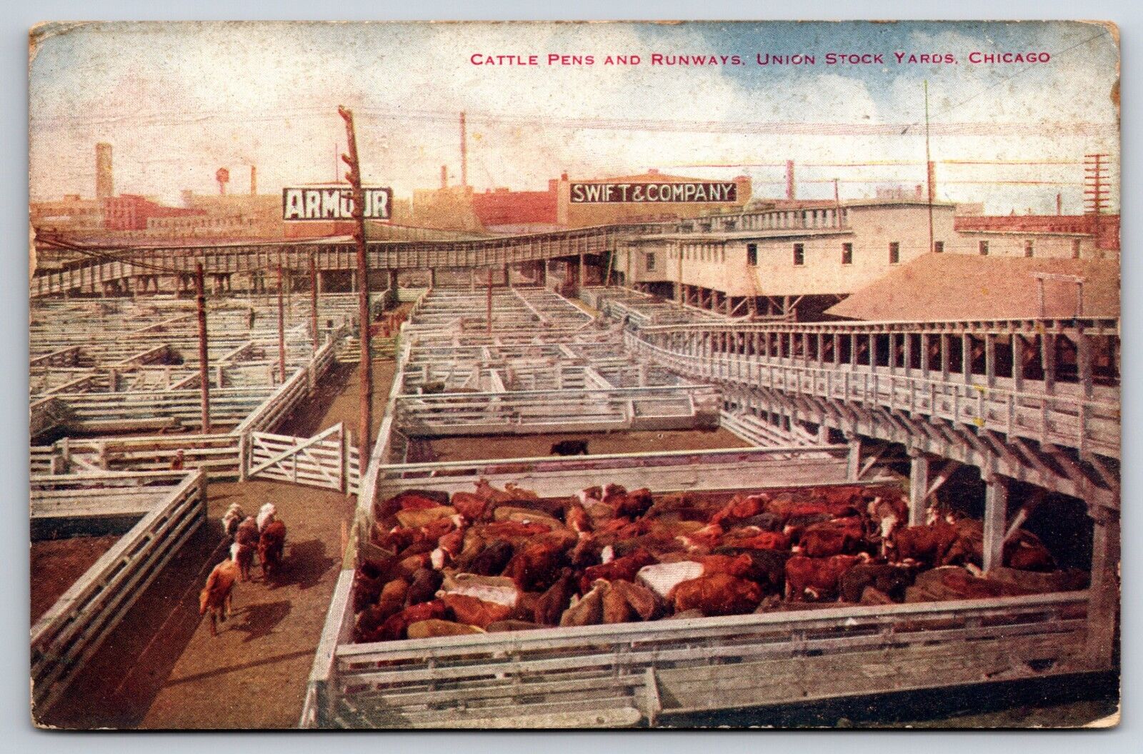 Union Stock Yards Cattle Pens Chicago Illinois IL c1918 Printed Postcard