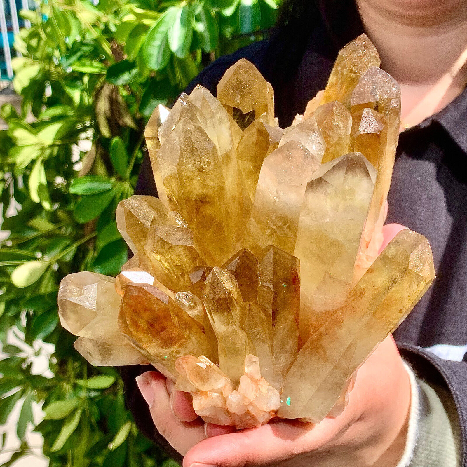 3.57LB Natural Citrine cluster mineral specimen quartz crystal healing
