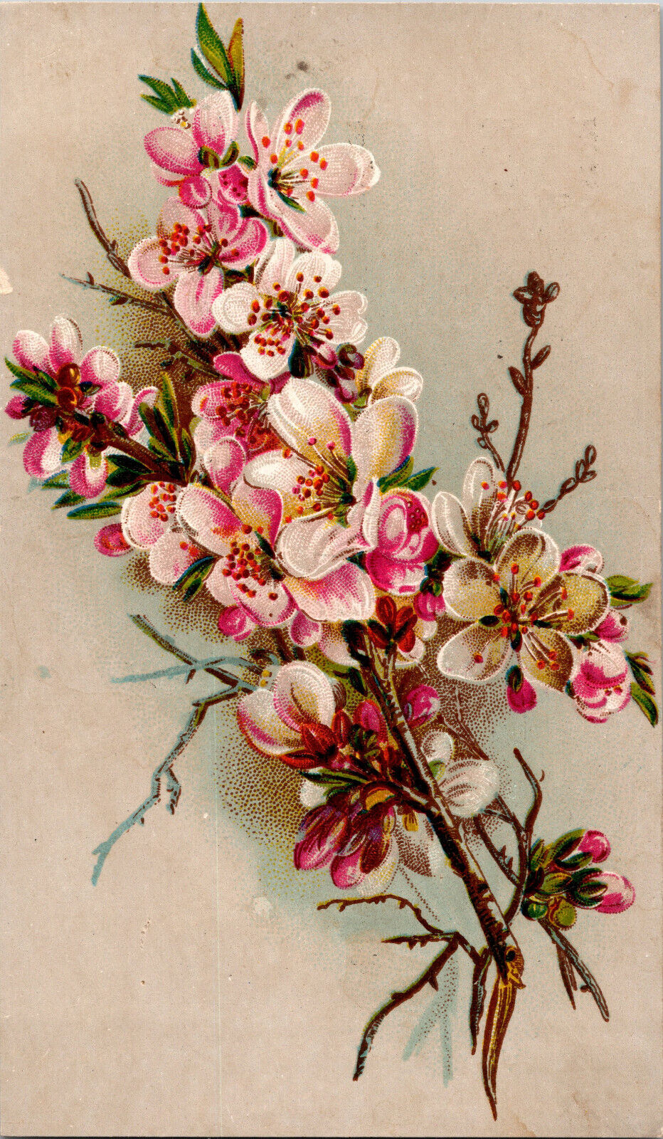 Flowers Peoples Tea Company Victorian Trade Card Lebanon PA 3\