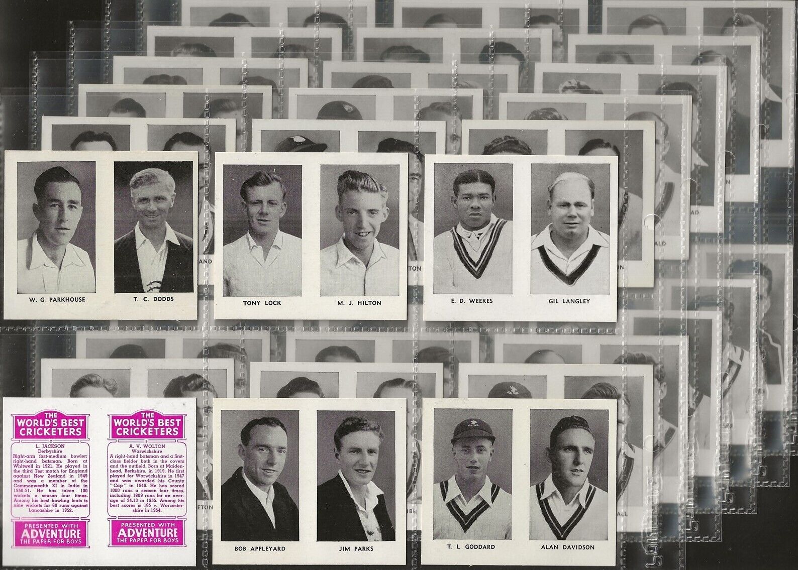 THOMSON (DC)-FULL SET- THE WORLDS BEST CRICKETERS 1956 (IN PAIRS MAUVE L36) 