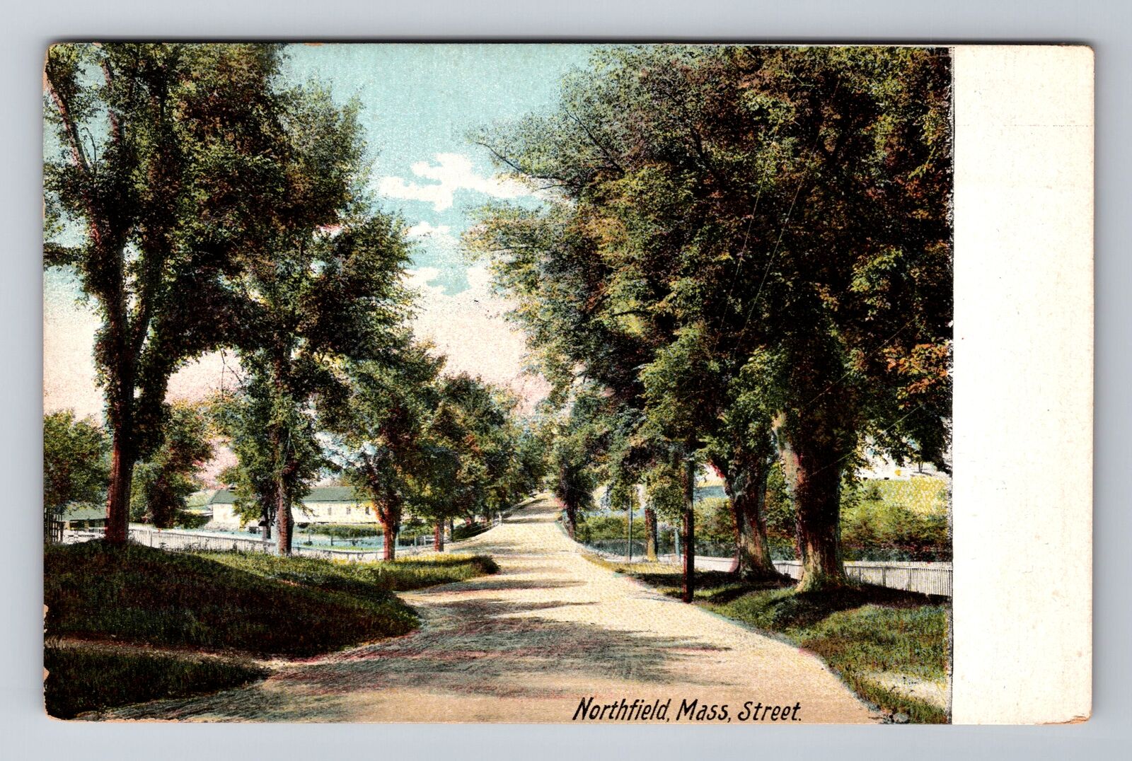 Northfield MA-Massachusetts, Treelined Street View, Antique Vintage Postcard