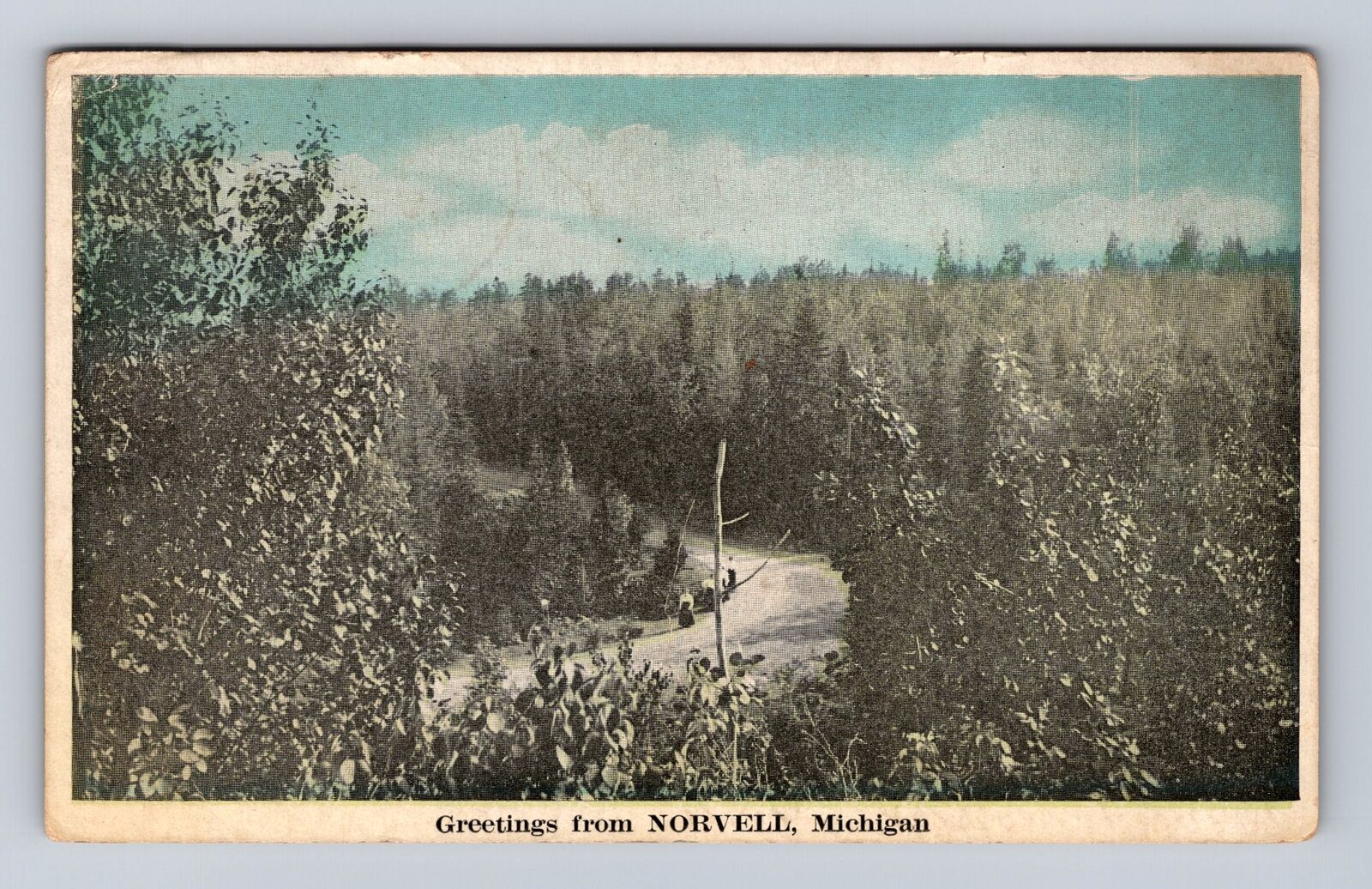 Norvell MI-Michigan, Scenic General Greetings, Antique, Vintage c1921 Postcard