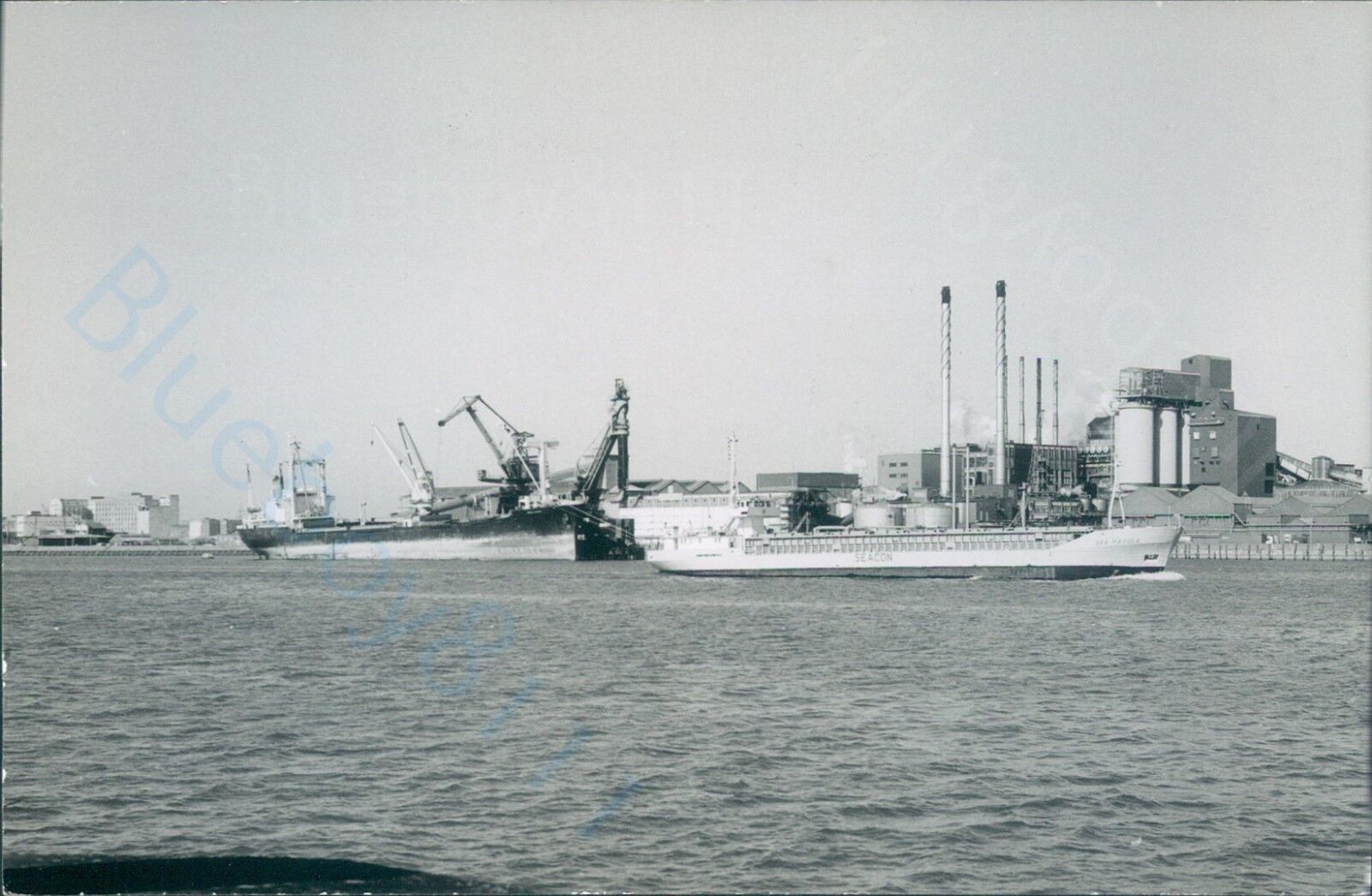 Cyprus MV Malvina  & German MV Sea magula ship photo 1997