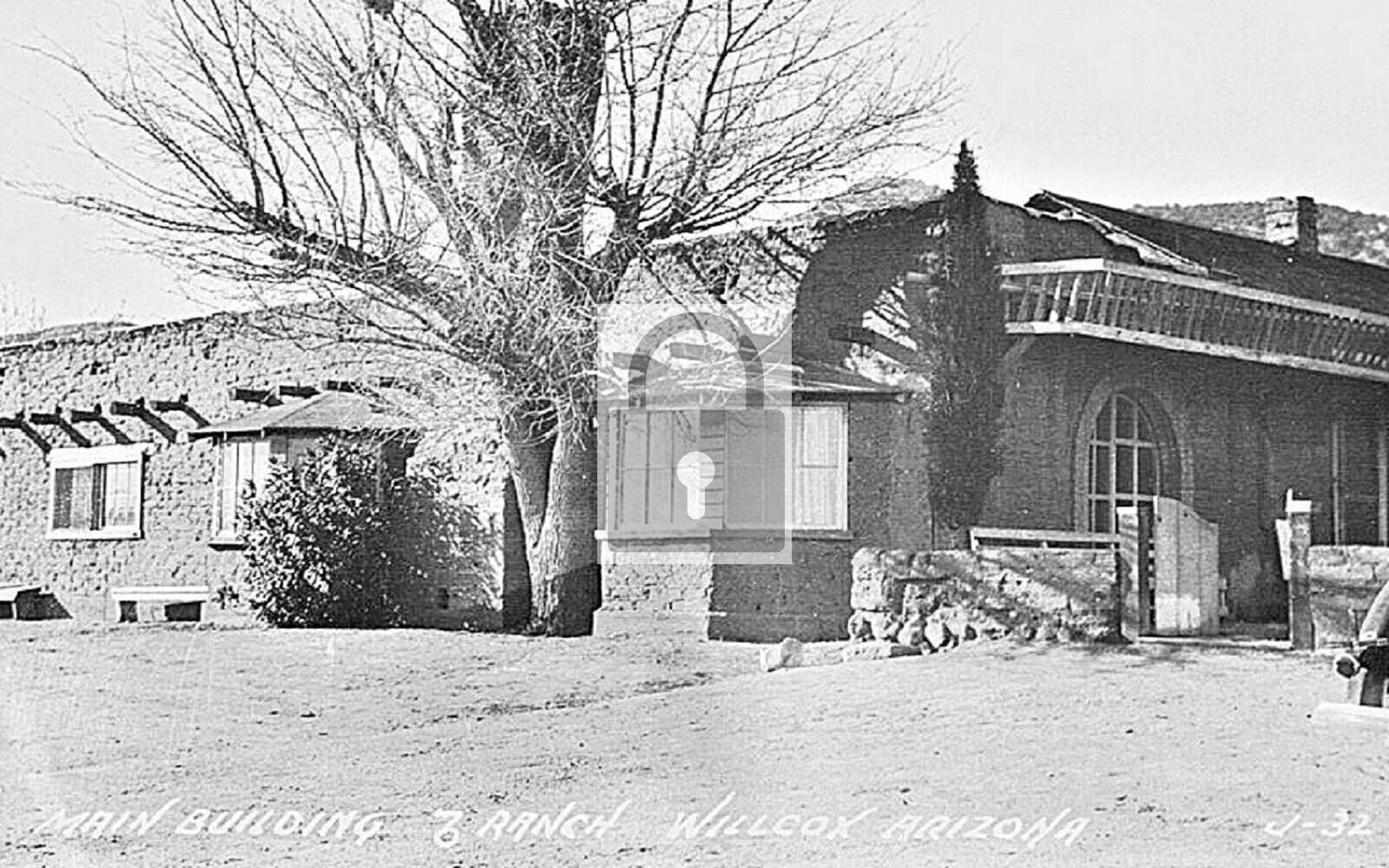 Main Building 76 Ranch Willcox Arizona AZ Reprint Postcard
