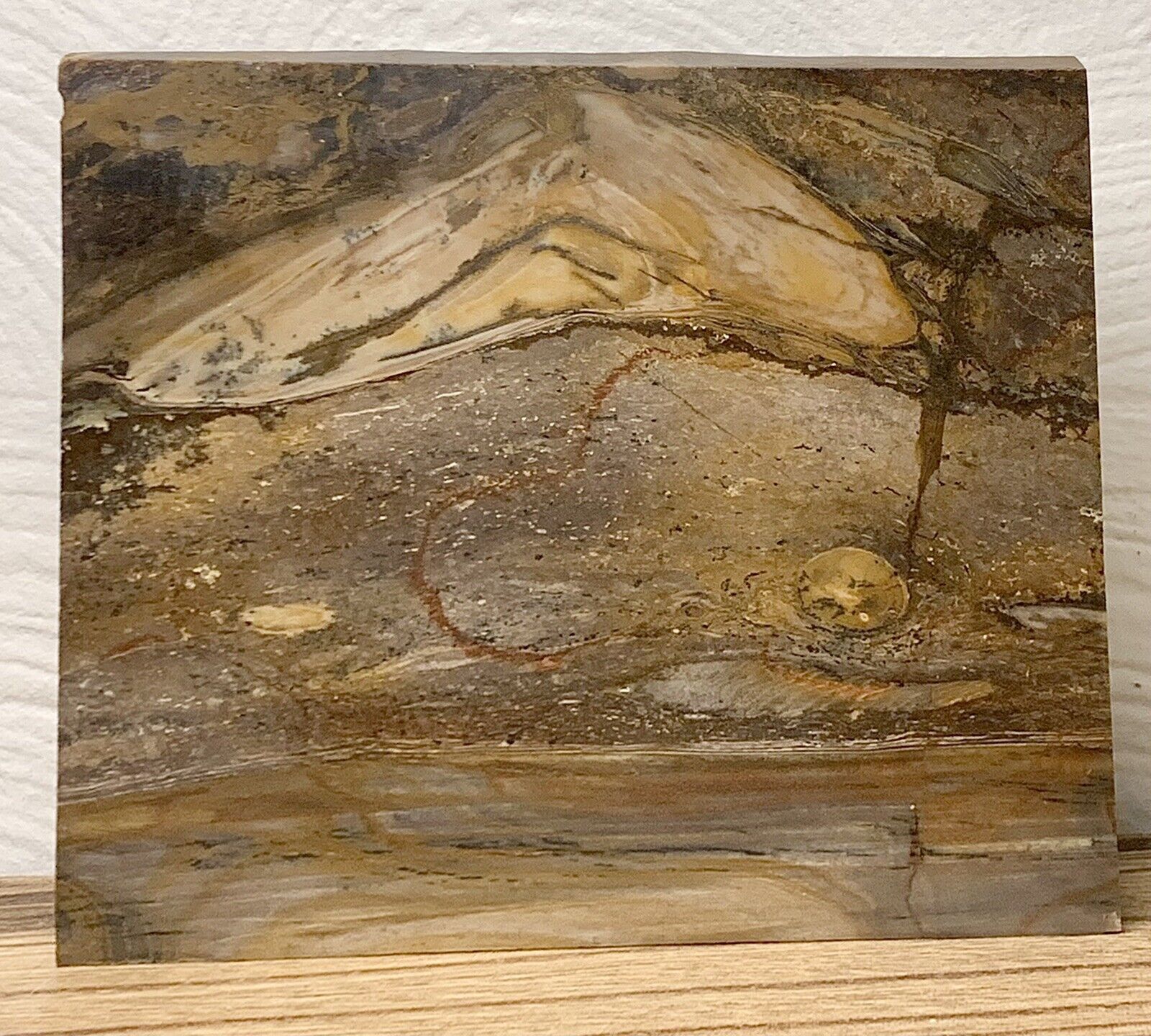 Beautiful Display Petrified Wood Slab PNW  from Grandpa’s Collection