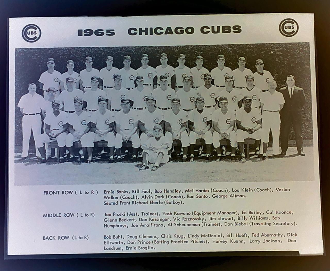 1965 Chicago Cubs Baseball Team Photo Negative Billy Williams - Ernie Banks