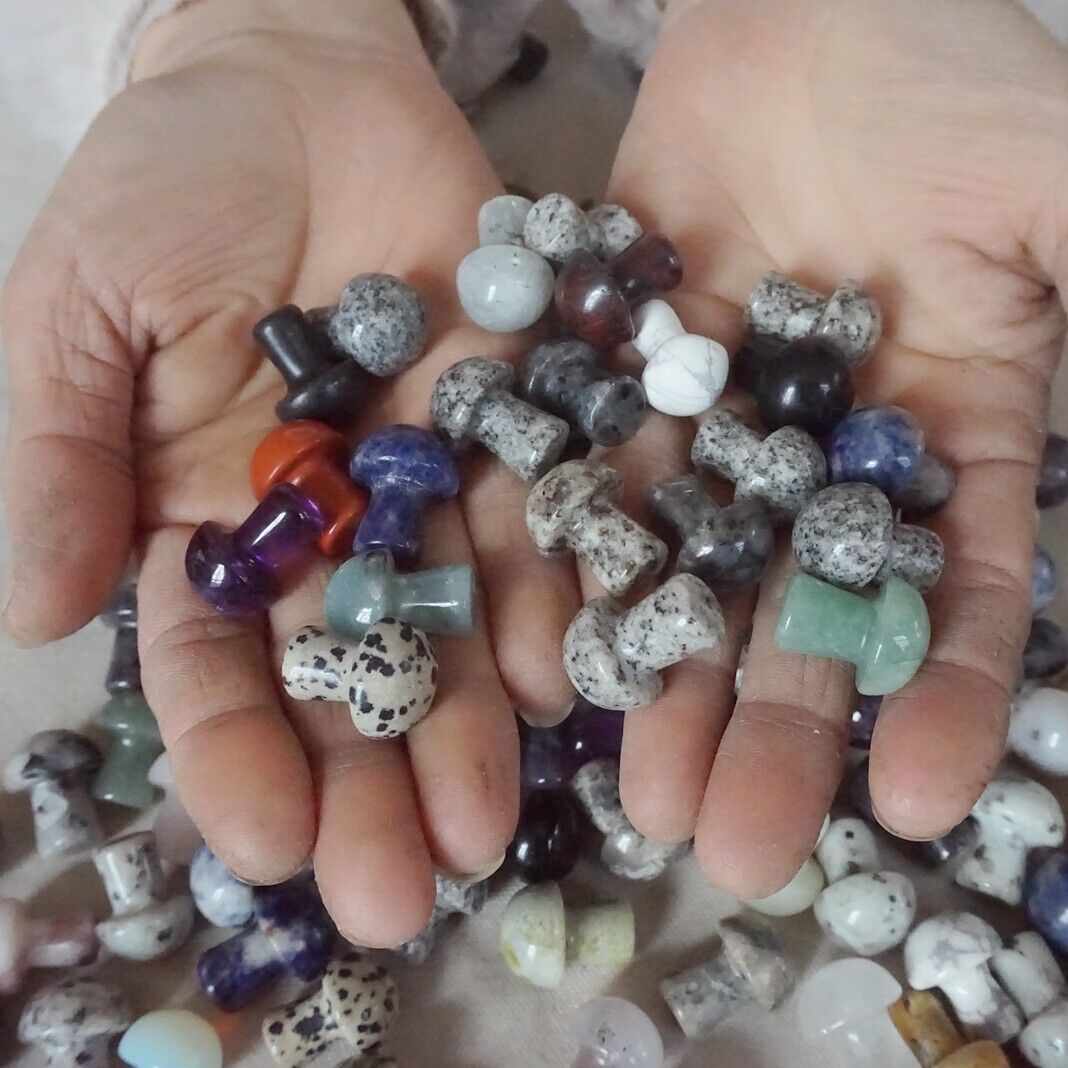 100Pcs Tiny Natural Quartz Crystal Jasper Mushroom Mixed Stones Tumbles Healing