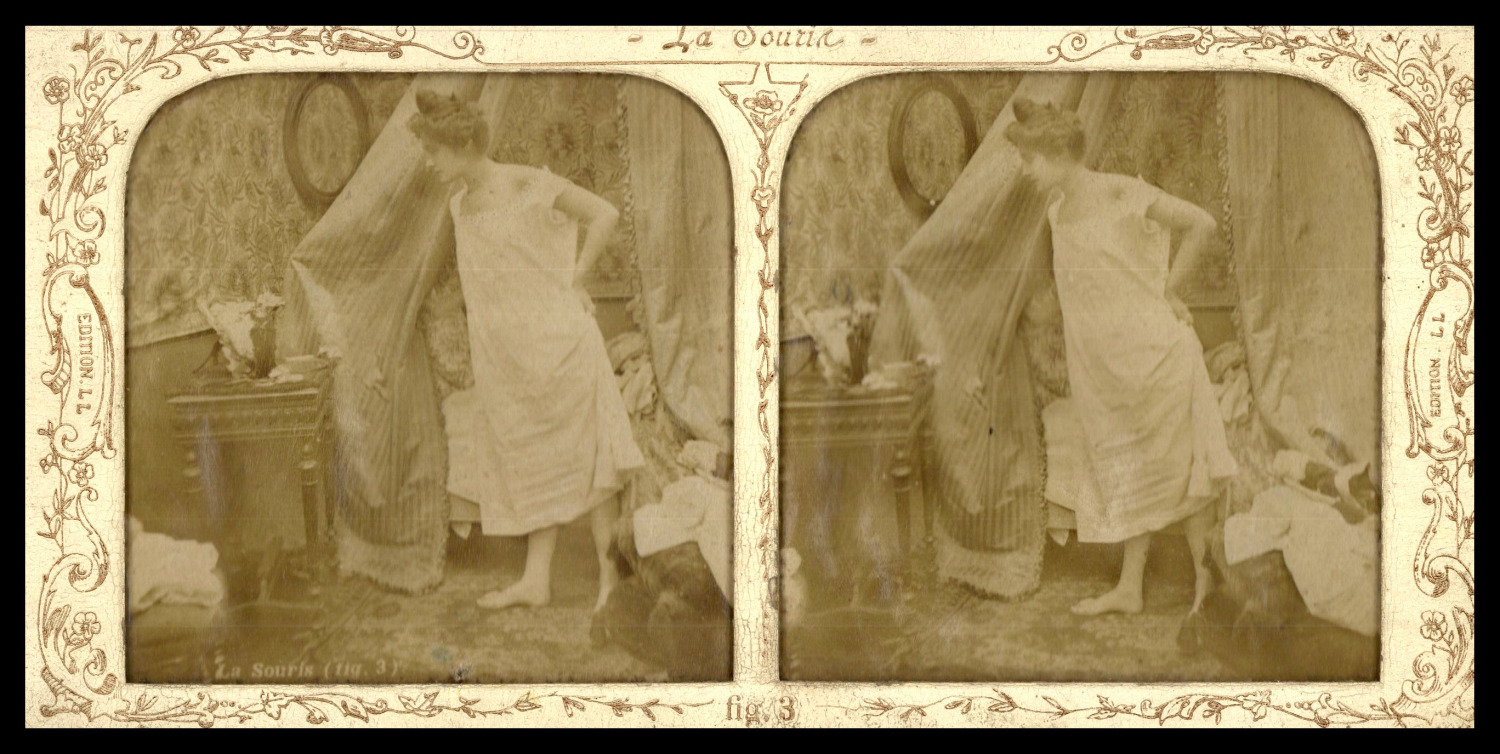 Young Woman in Her Room with a Mouse, Vintage Print, ca.1860, Stereo Day