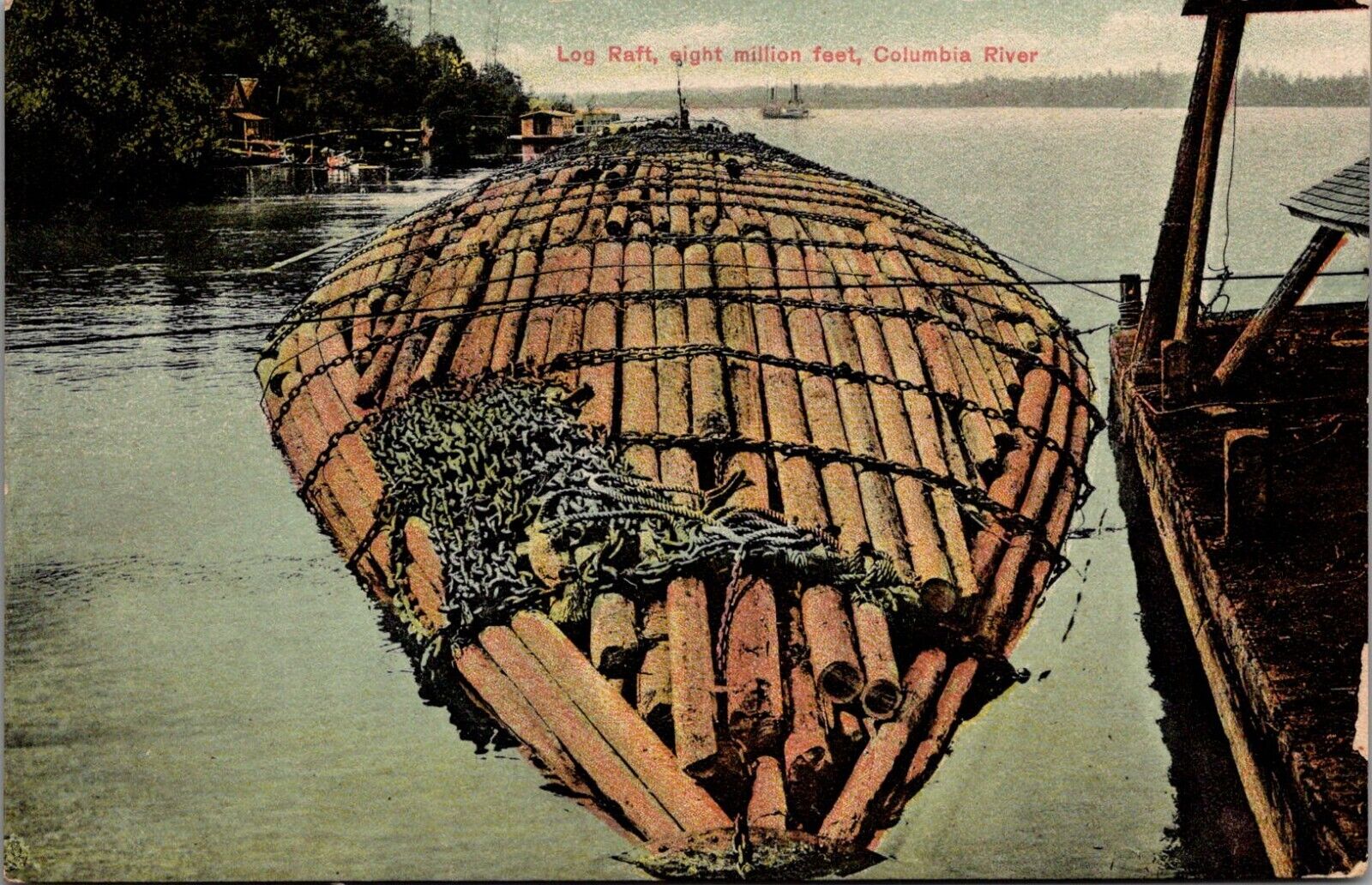 Postcard Columbia River, Log Raft, Eight Million Feet  Au