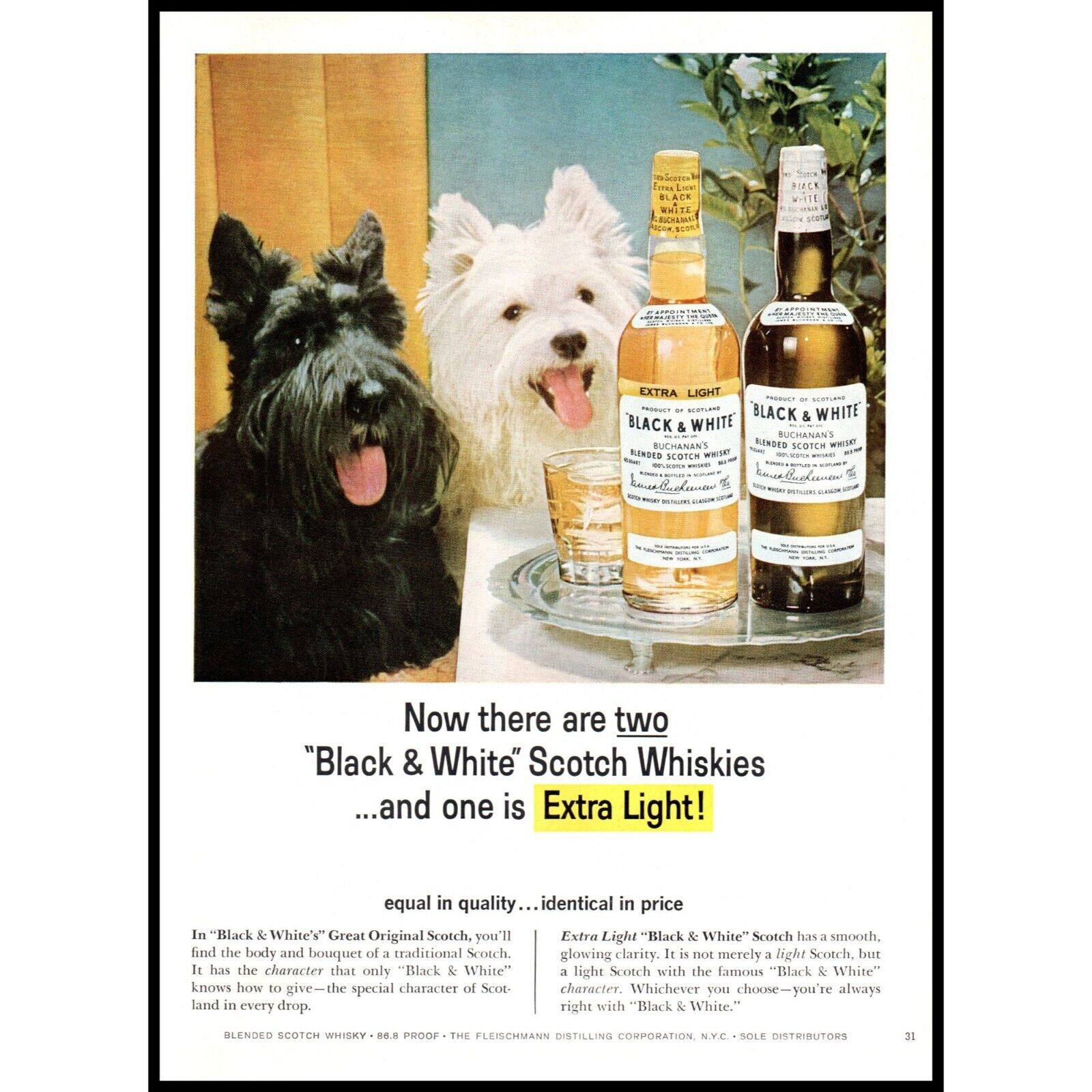 1965 Buchanan\'s Black & White Scotch Vintage Print Ad Scottie Dog Wall Art
