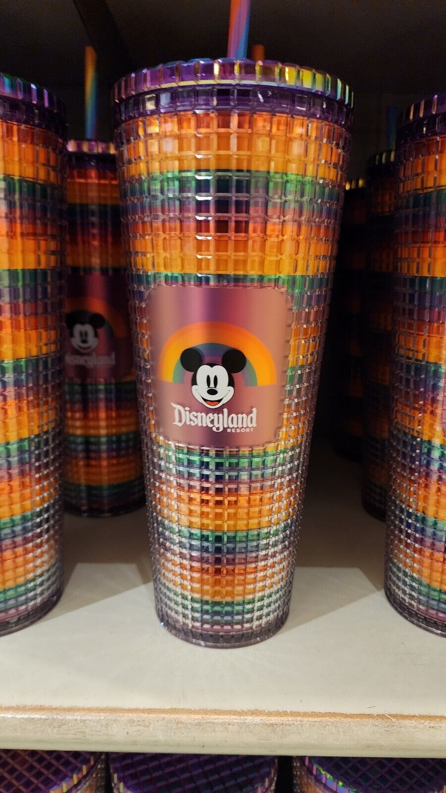 Disneyland Starbucks 2024 Pride Mickey Tumbler
