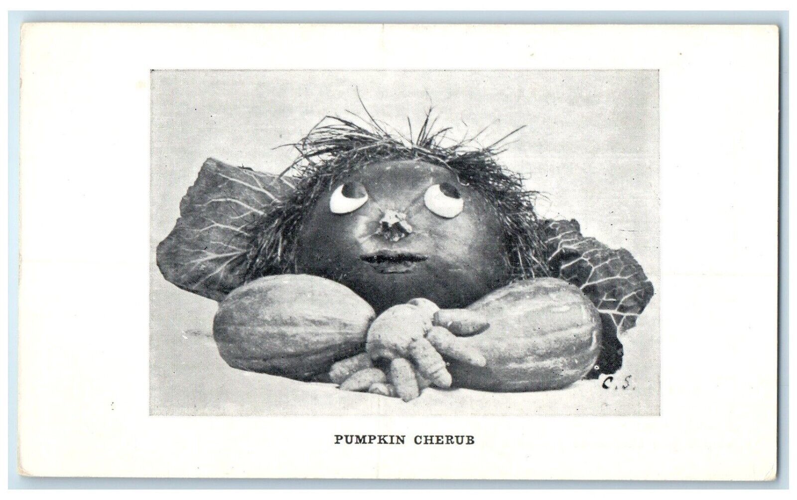 c1910's The Pumpkin Cherub Anthropomorphic Unposted Antique Postcard
