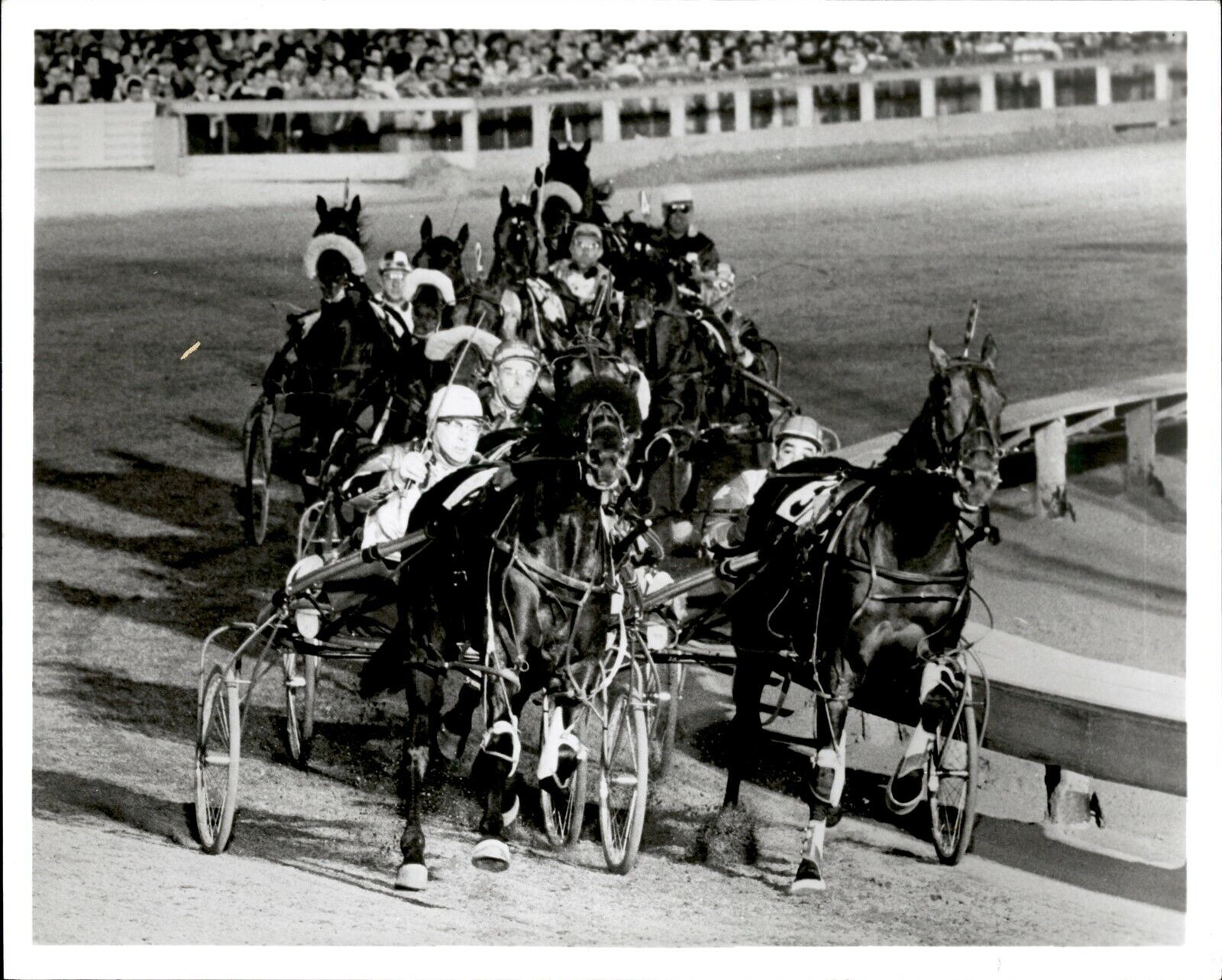 LV63 Orig Photo HARNESS HORSE RACING Speeding Animals Galloping on Track Action
