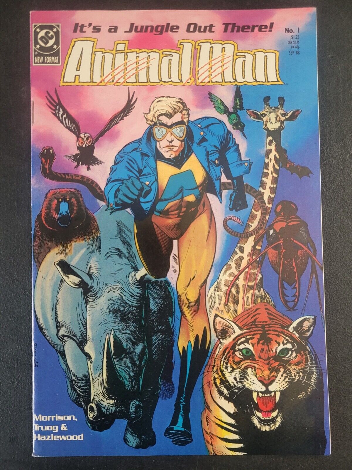 ANIMAL MAN #1 (1988) DC COMICS GRANT MORRISON AMAZING BRIAN BOLLAND COVER