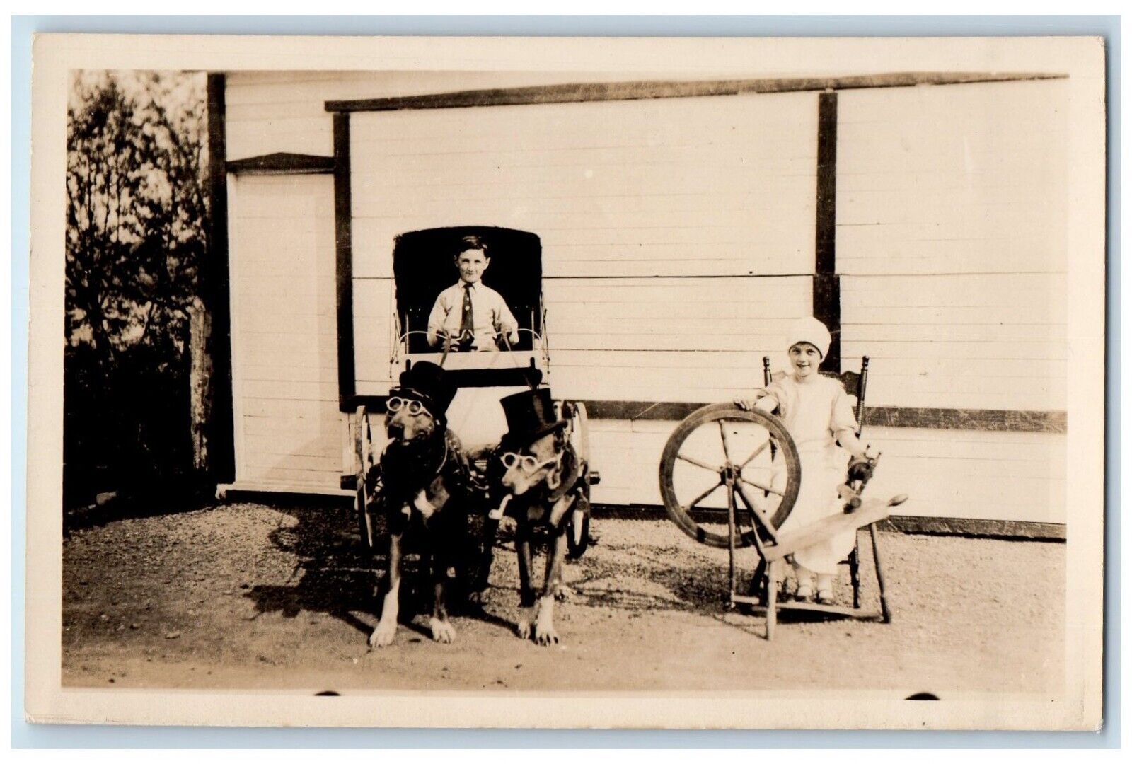 c1910 Dogs Top Hat Glasses Carriage Kids Spinning Wheel RPPC Photo Postcard