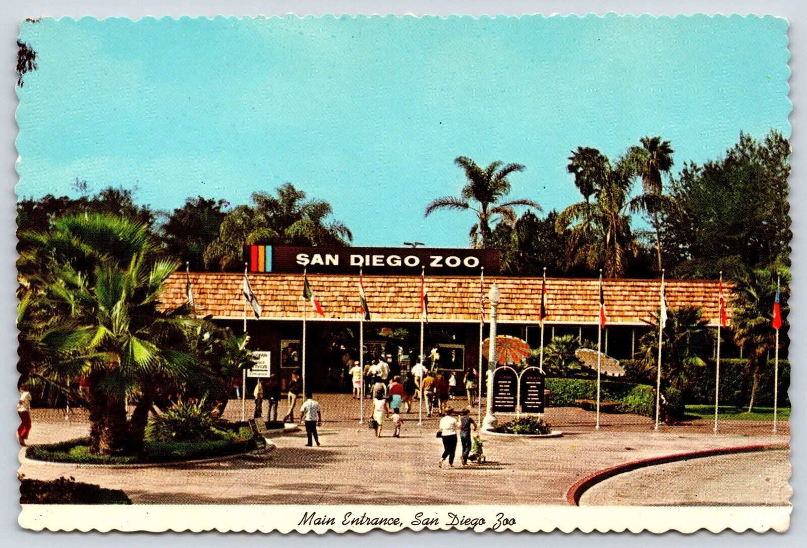 California San Diego Zoo Main Entrance Vintage Postcard Continental