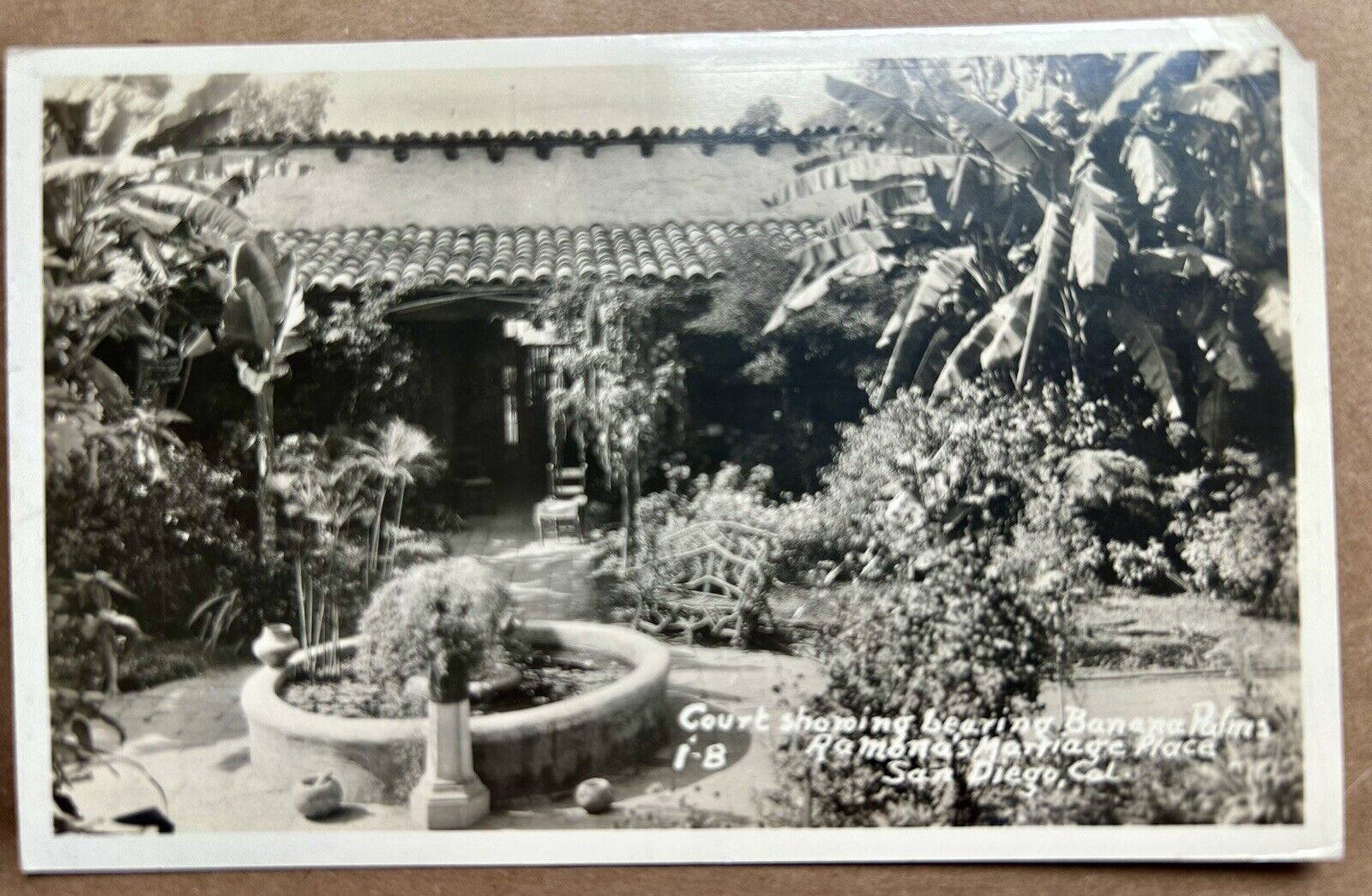 Banana Palms Ramona Marriage Pl., California Postcard RPPC. San Diego.