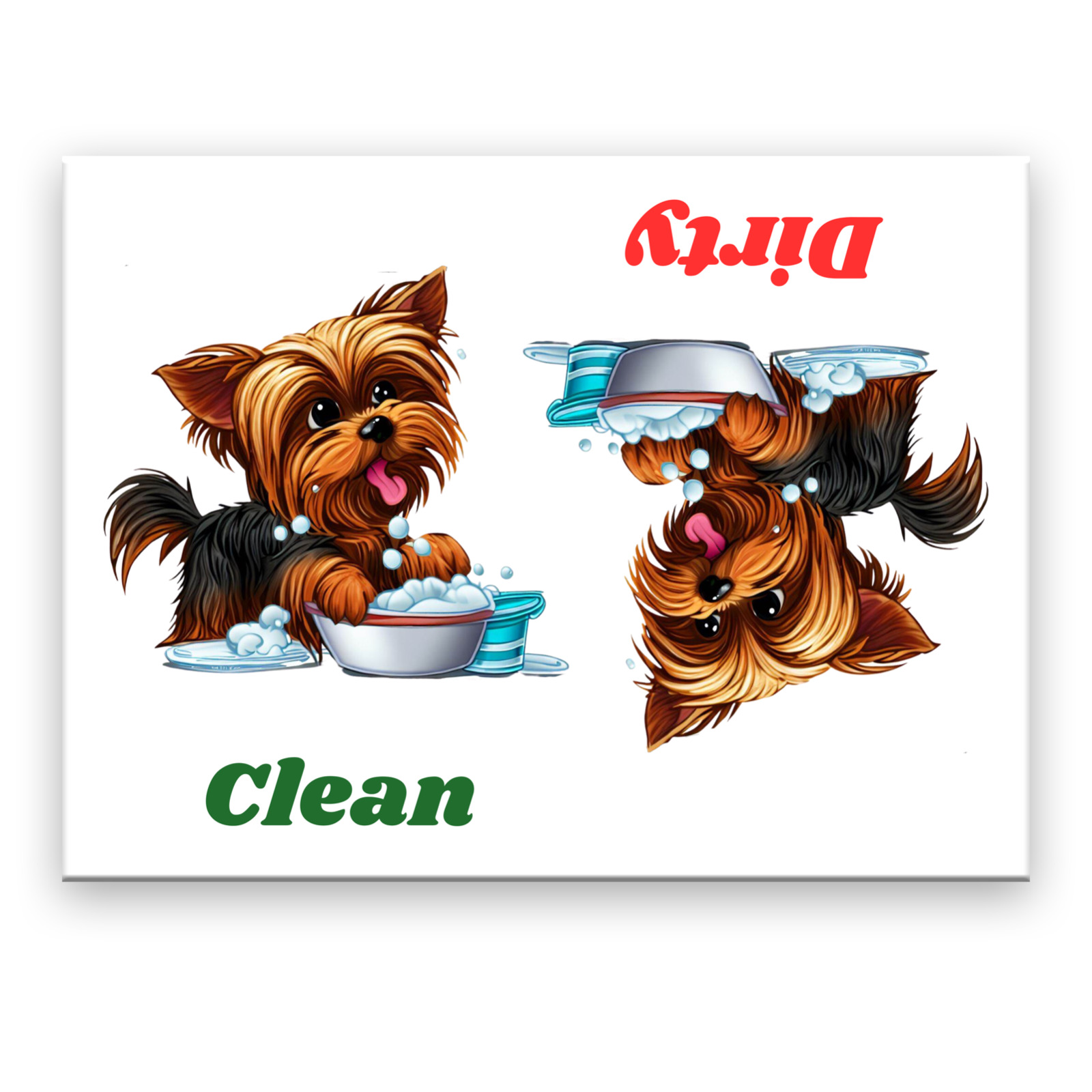 Yorkshire Terrier Clean Dirty 3 1/2