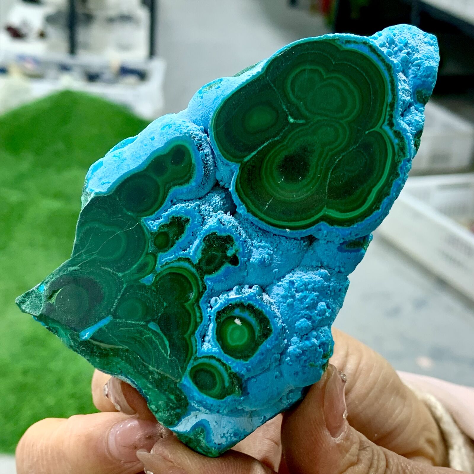 285g Natural chrysocolla/Malachite transparent cluster rough mineral sample