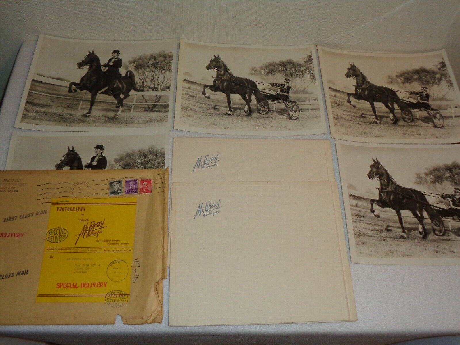 Jay A. McClasky Equestrian Horses Rare 1960s Vintage Original Photo Lot