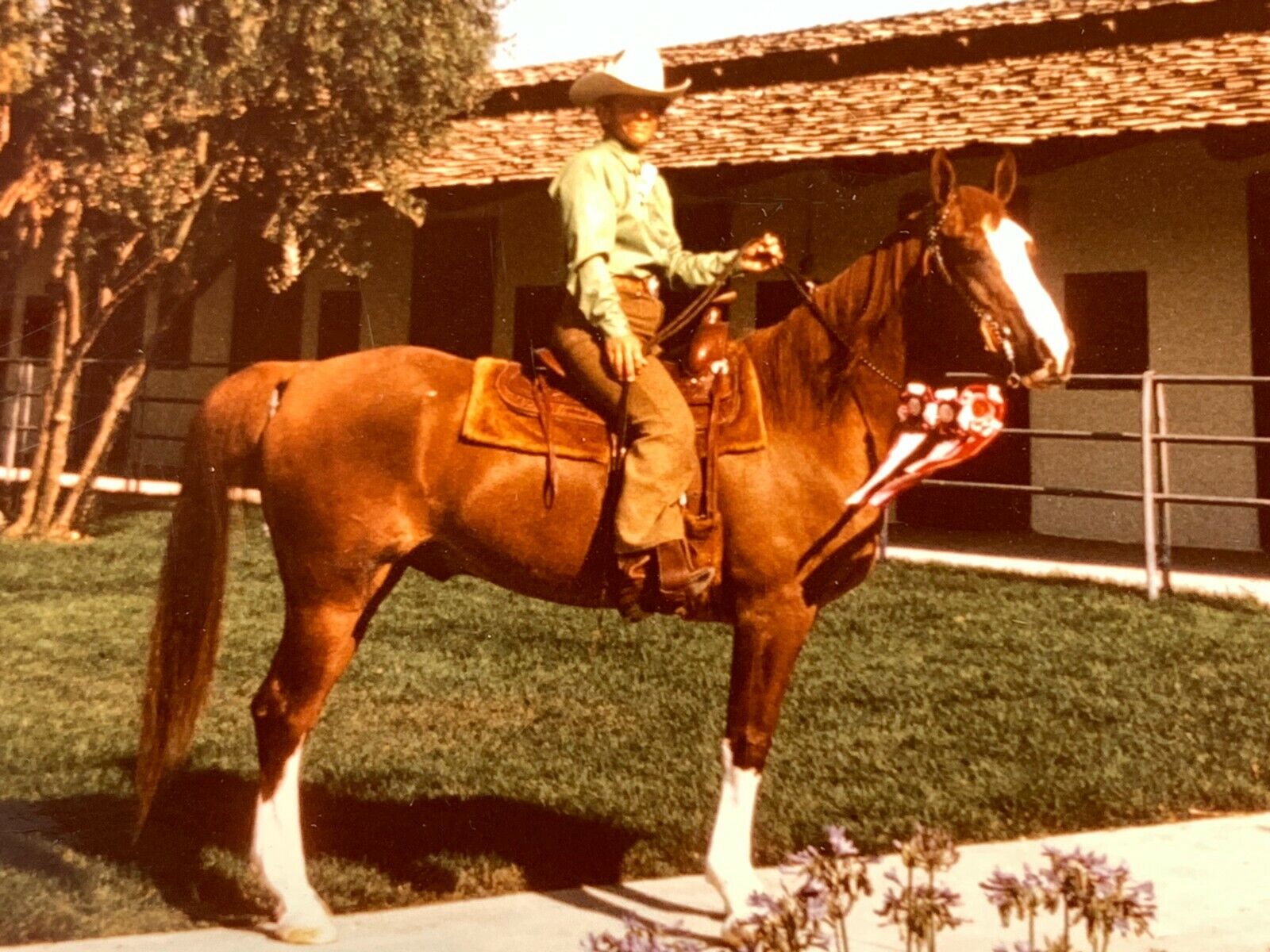 AvH) Found Photo Photograph 1973 Man On Handsome Horse BUSTER
