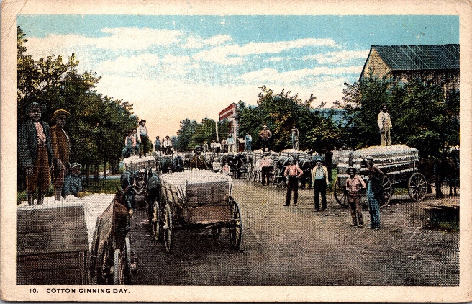 Postcard Cotton Ginning Day, Wagons Filled with Cotton