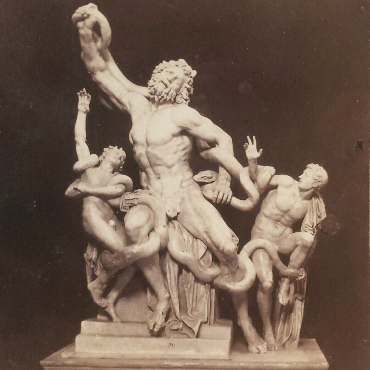 Italy Rome Vatican Agony Laocoön His Sons Group Statue Photo Stereoview S388