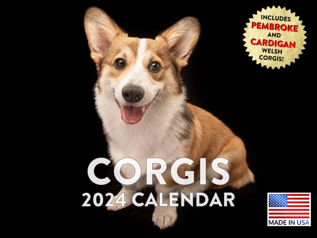 Corgi Calender Cute Dog Gifts 2024 Wall Calendar