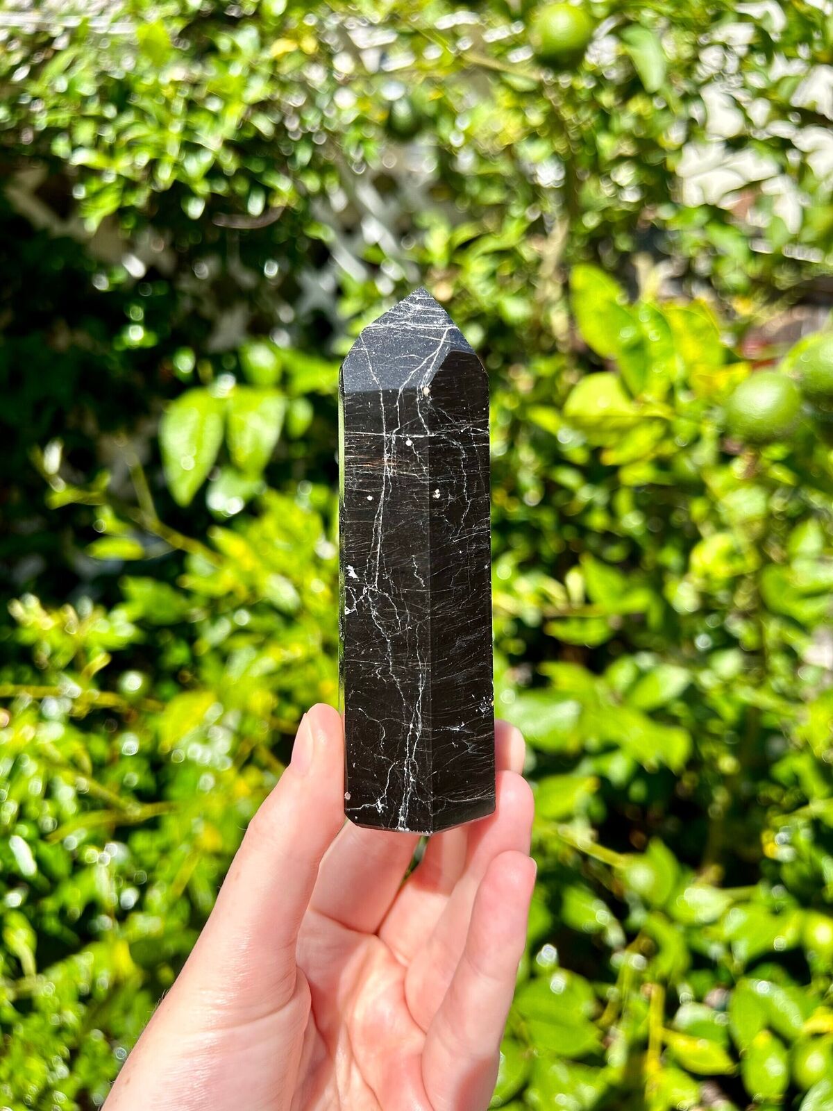 Gorgeous Black Tourmaline Tower from Brazil