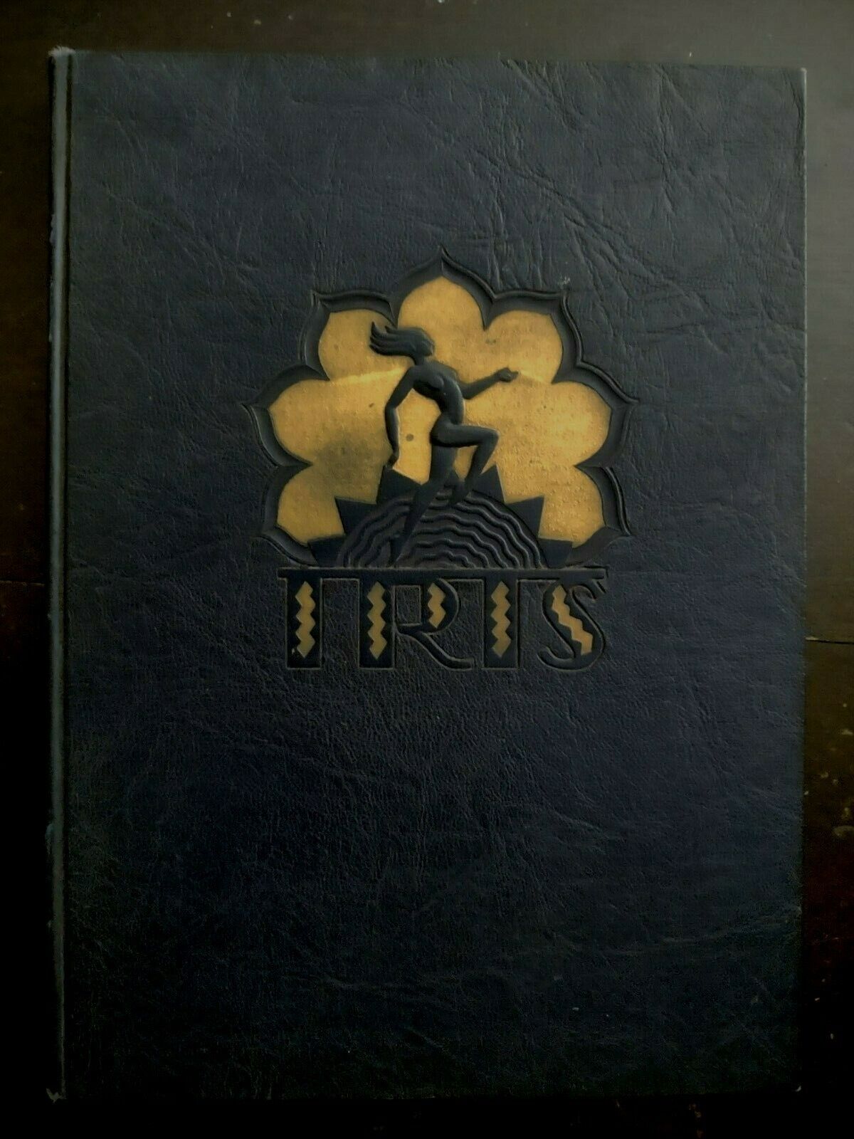Elmira NY College Yearbook - THE IRIS / Beautiful Book / Photos