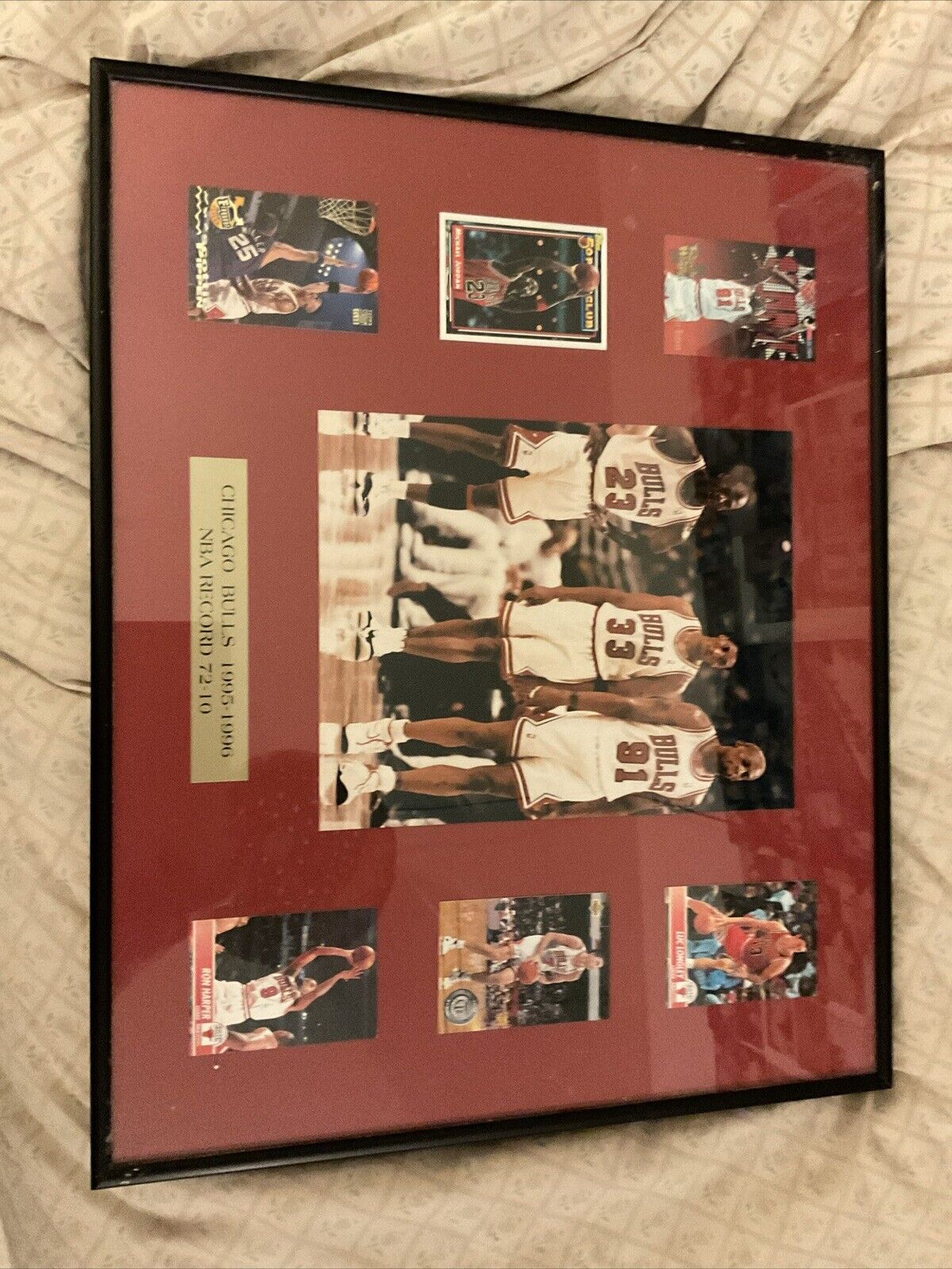 Chicago Bulls 1995-1996
