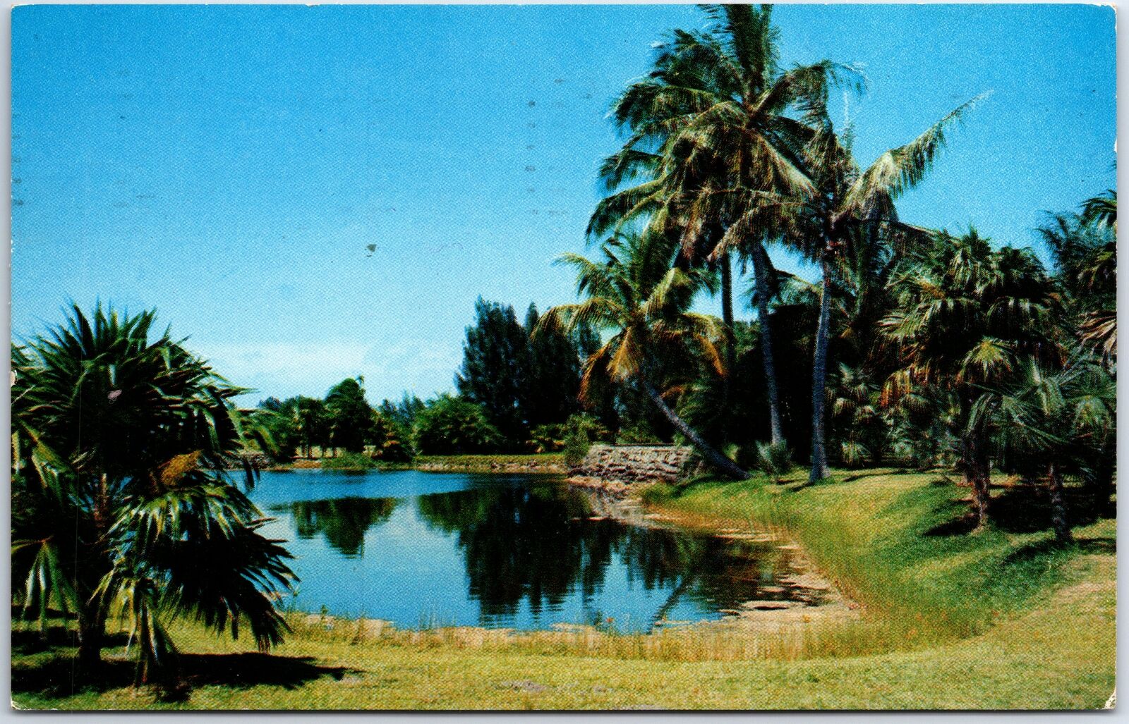 VINTAGE POSTCARD VIEW OF FAIRCHILD TROPICAL GARDEN AT MIAMI FLORIDA MAILED 1957