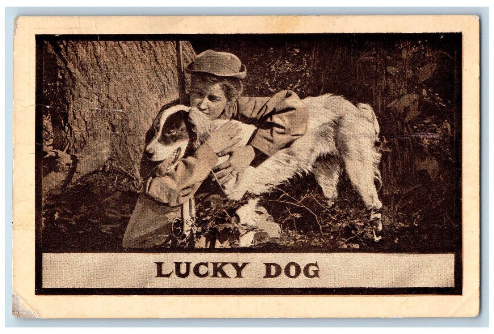 Bemidji Minnesota MN Postcard Woman Lady Hunter Lucky Dog Scene Field 1910