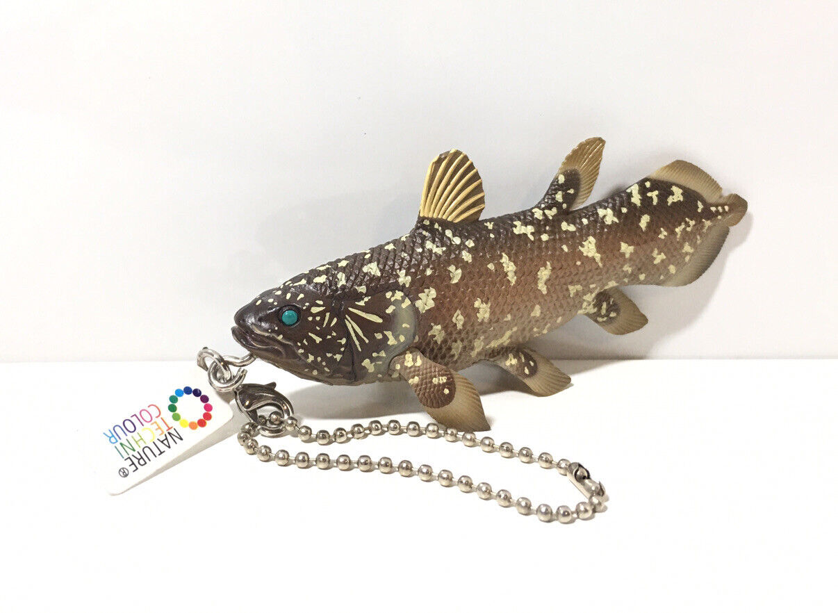 Kitan Club Kaiyodo Japan Exclusive Coelacanth Fossil Fish SP Keychain Figure