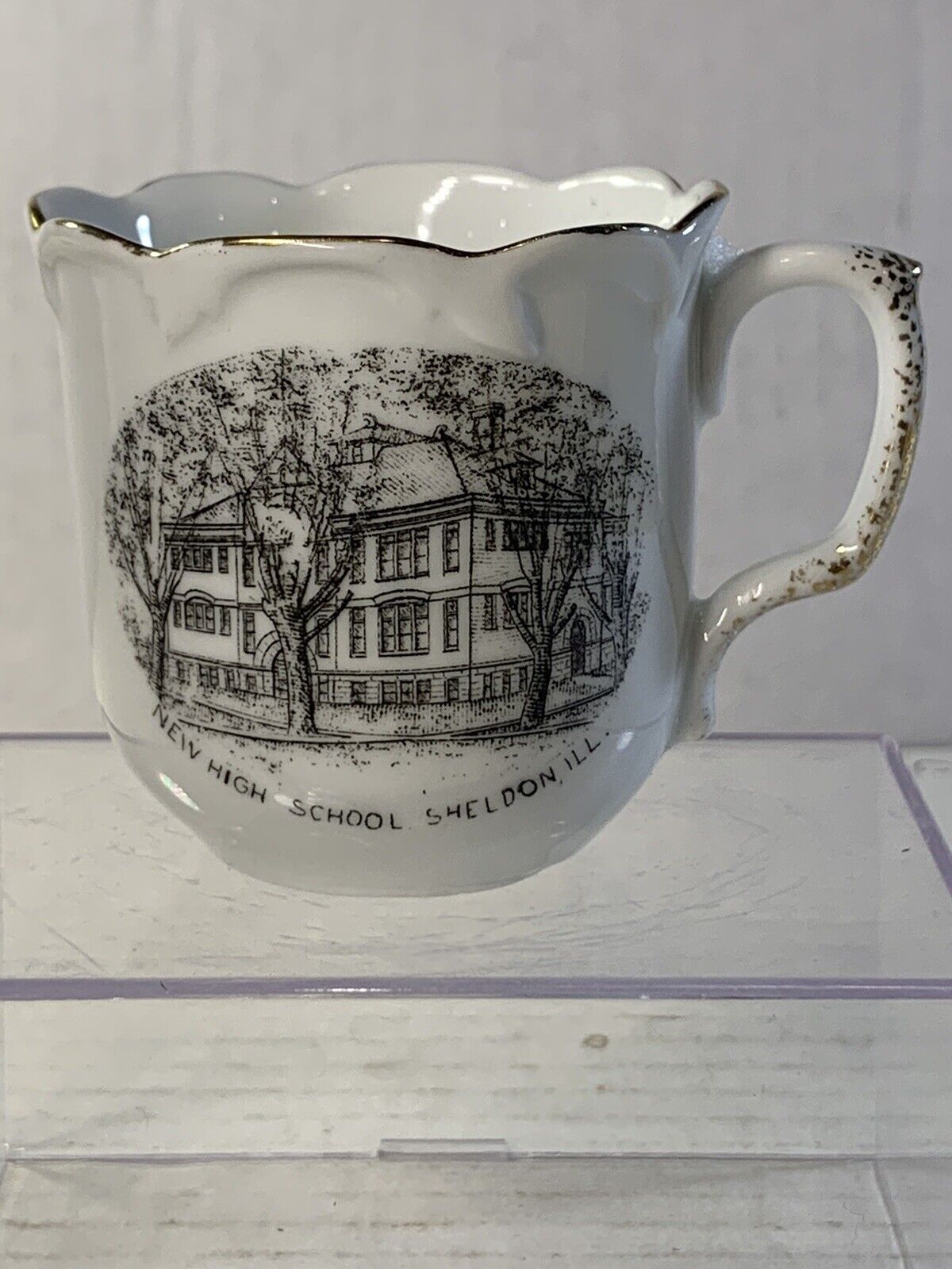 Vintage Sheldon Illinois New High School Glass Advertising Souvenir Tea Cup