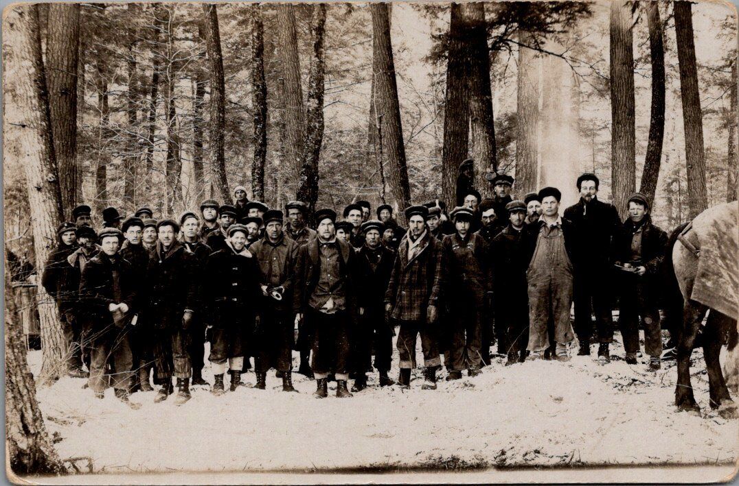 LUMBERING, Large Lumber Crew in the Winter Real Photo Postcard