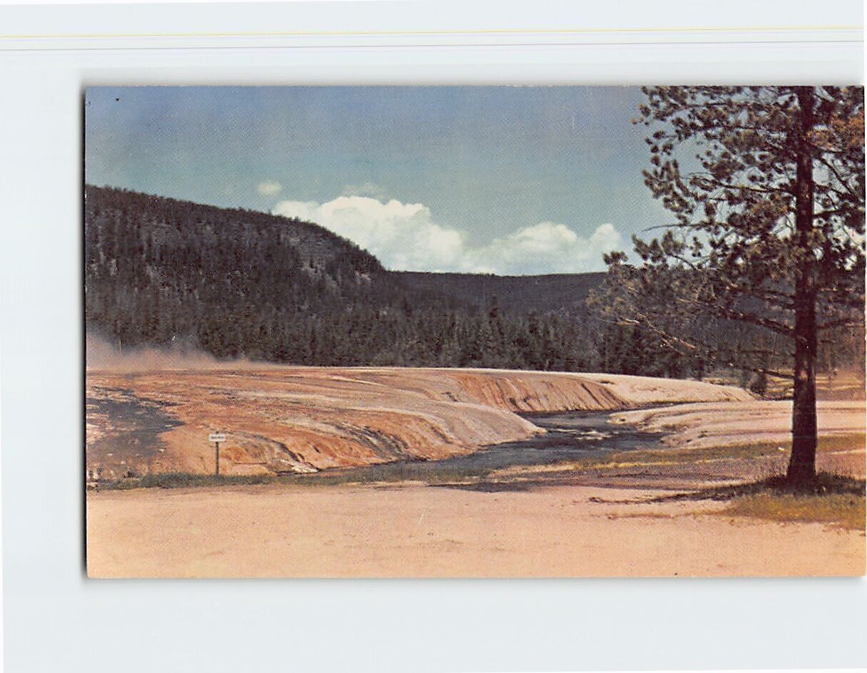 Postcard Iron Creek Yellowstone National Park Wyoming USA