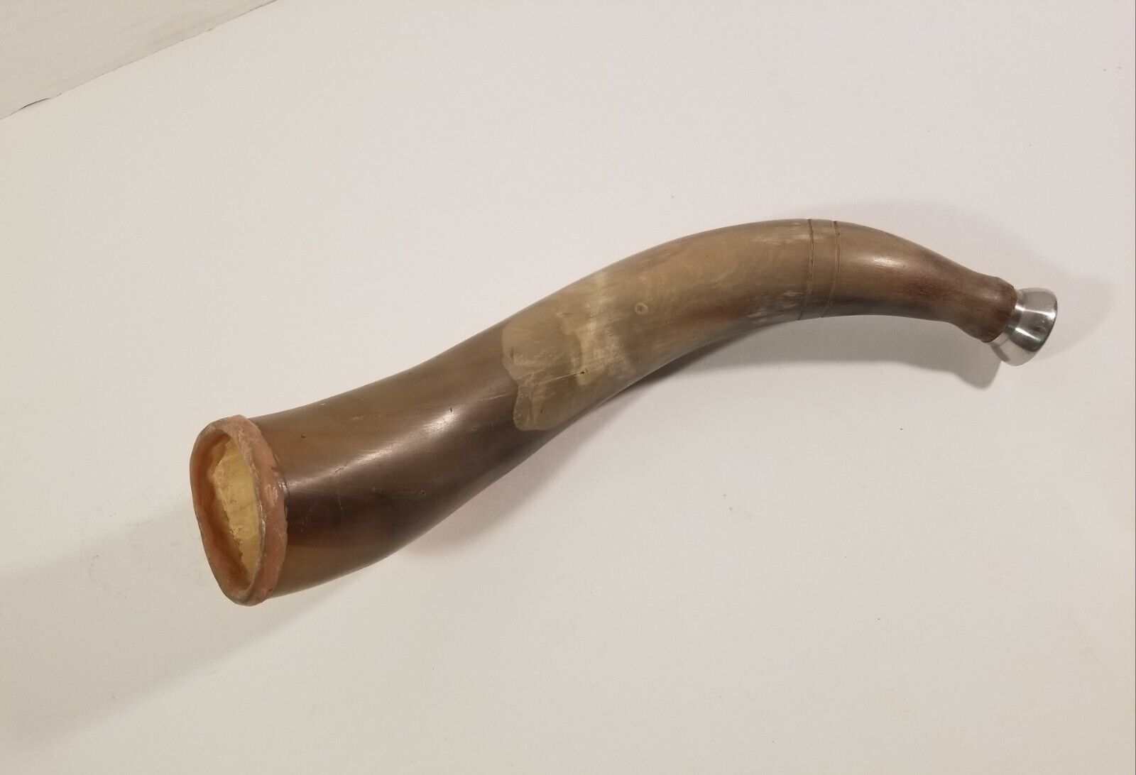 Vintage Western Unique Animal Blow Horn 11” Long, Bugle Trumpet End Functional
