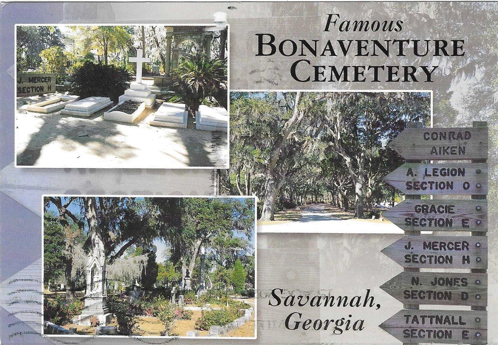 Georgia Chrome Postcard Bonaventure Cemetery Savannah Multi Views