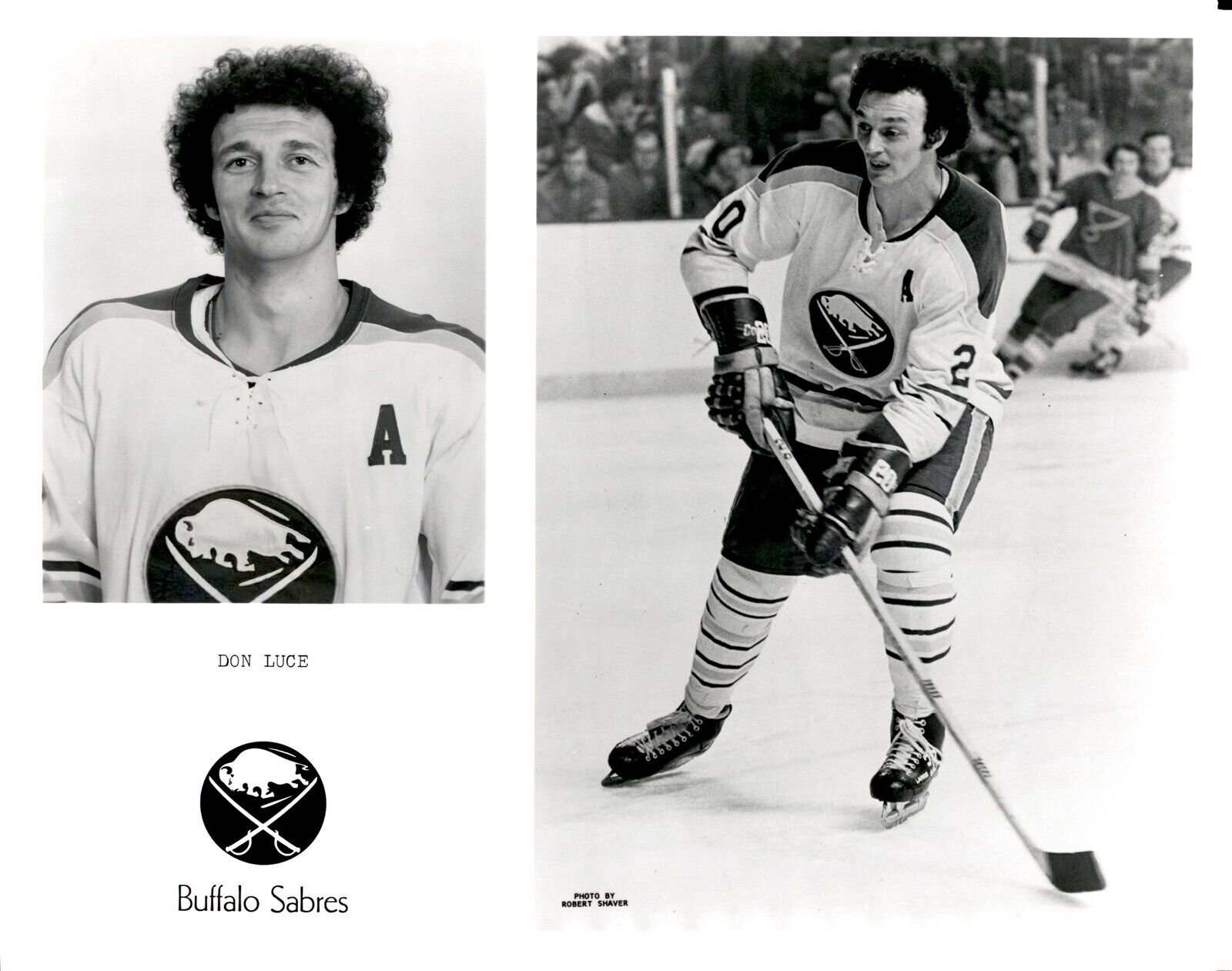 PF10 Orig Robert Shaver Photo DON LUCE 1971-81 BUFFALO SABRES NHL HOCKEY CENTER