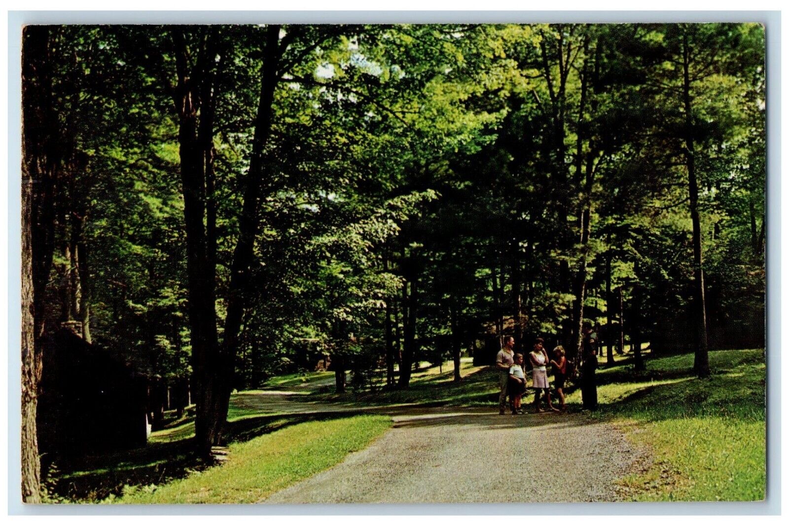 c1960s Cabin Area at Gilbert Lake State Park Laurens New York NY Postcard