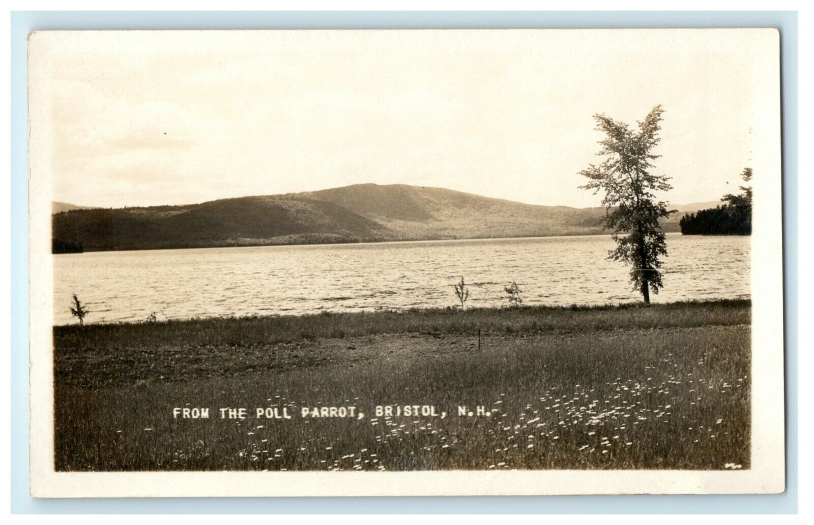 c1930\'s From the Poll Parrot Bristol New Hampshire NH RPPC Photo Postcard