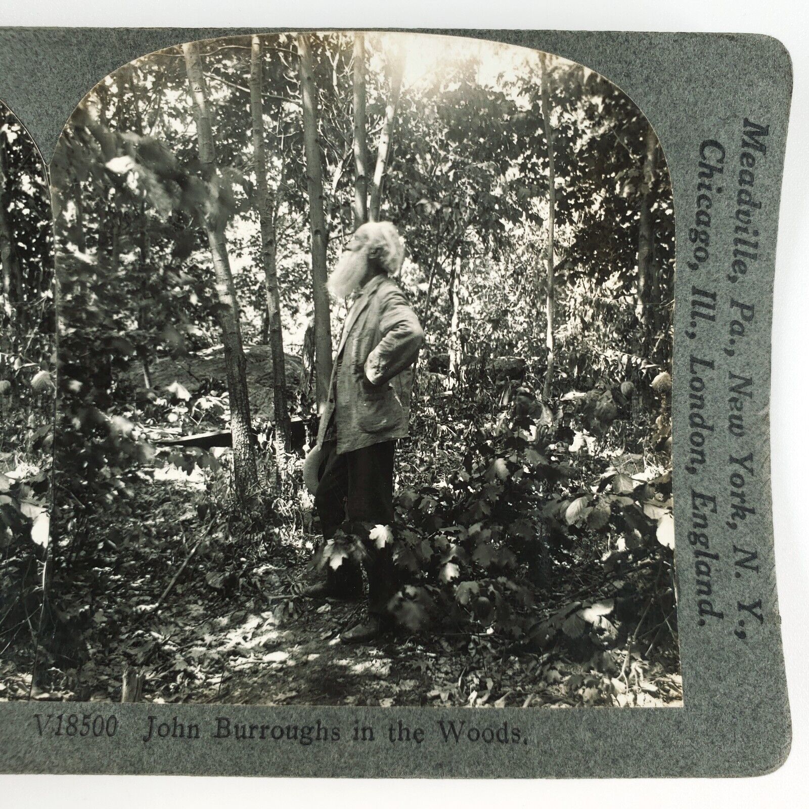 John Burroughs Nature Writer Stereoview 1920s Keystone Naturalist Essayist H1723