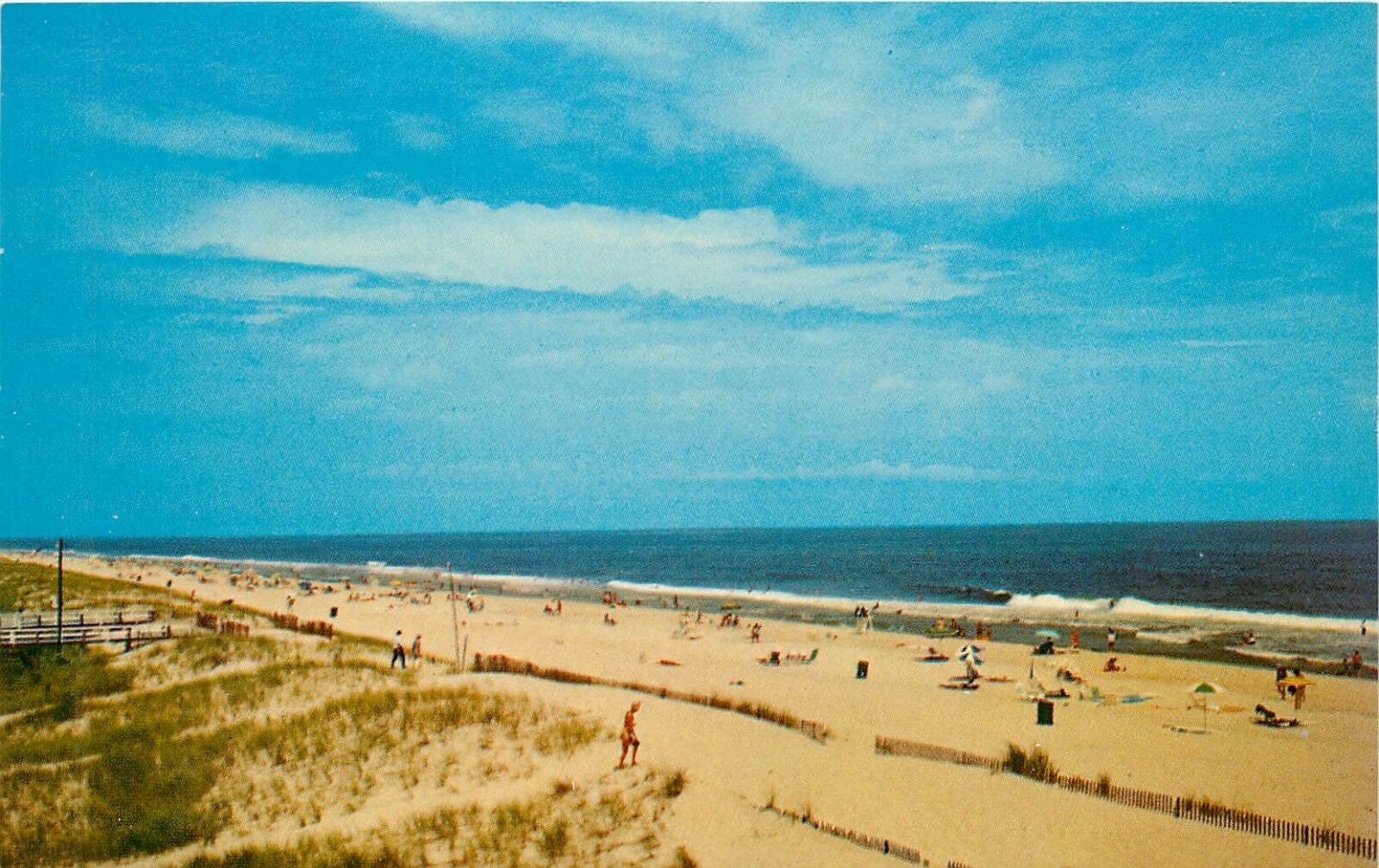 Delaware DE beaches Summer Scene Postcard