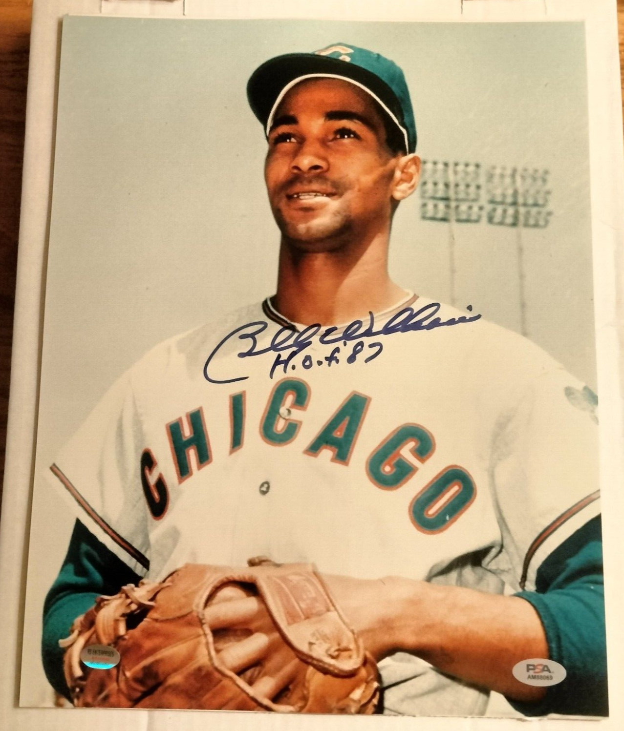 Billy Williams Cubs Autographed 11x14 Baseball Photo W/HOF Inscription PSA/DNA