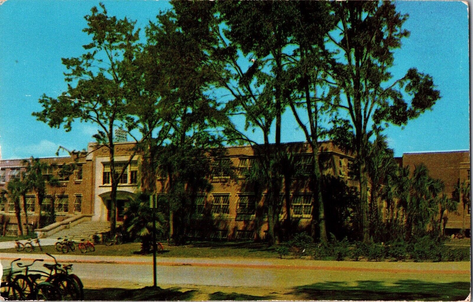 Florida Postcard: Florida Gymnasium at The University Of Florida, Gainesville 