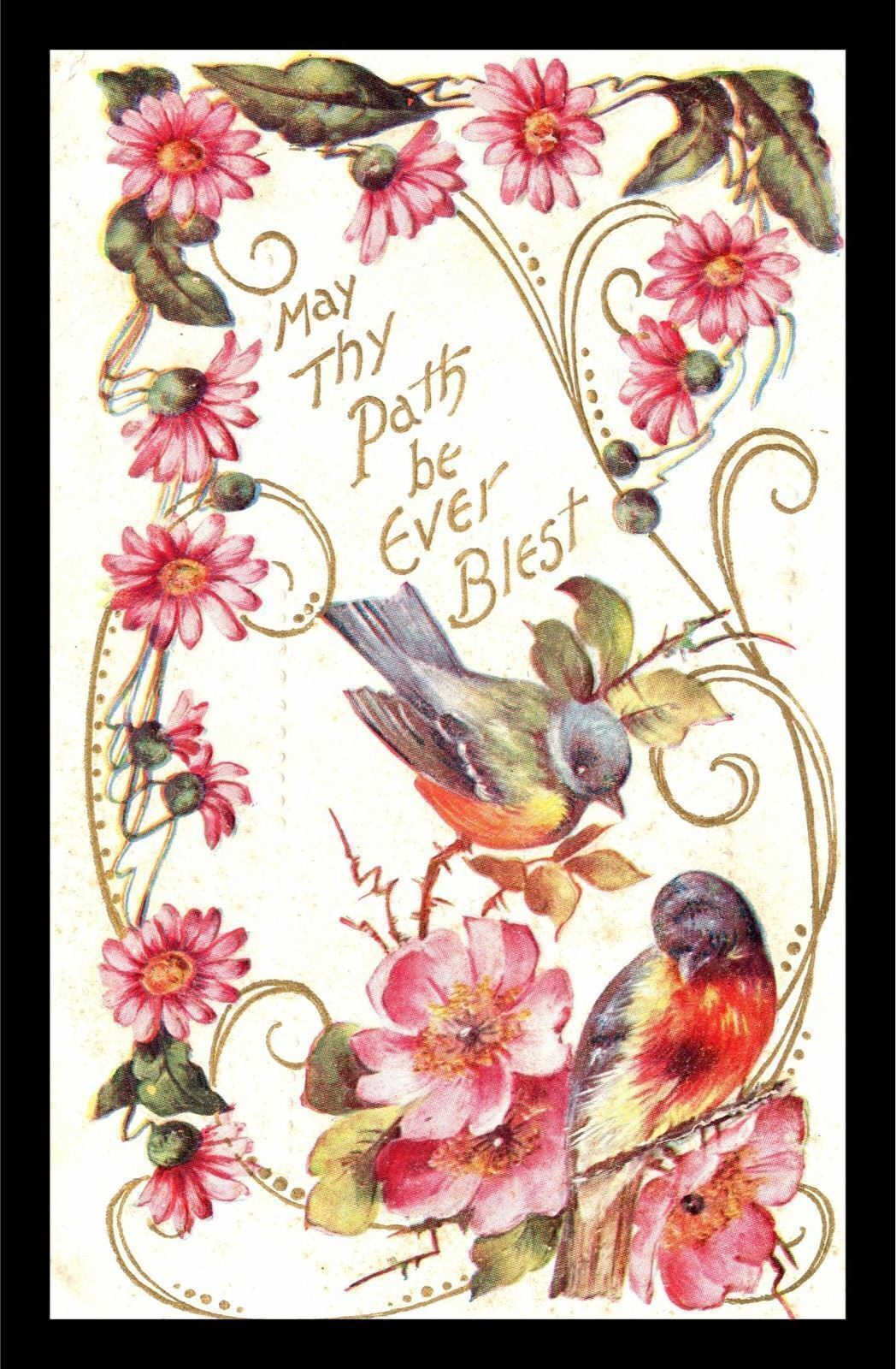 c1910 Birds Flowers Leaves Red Breasted Lisbon Maine Embossed Postcard 277