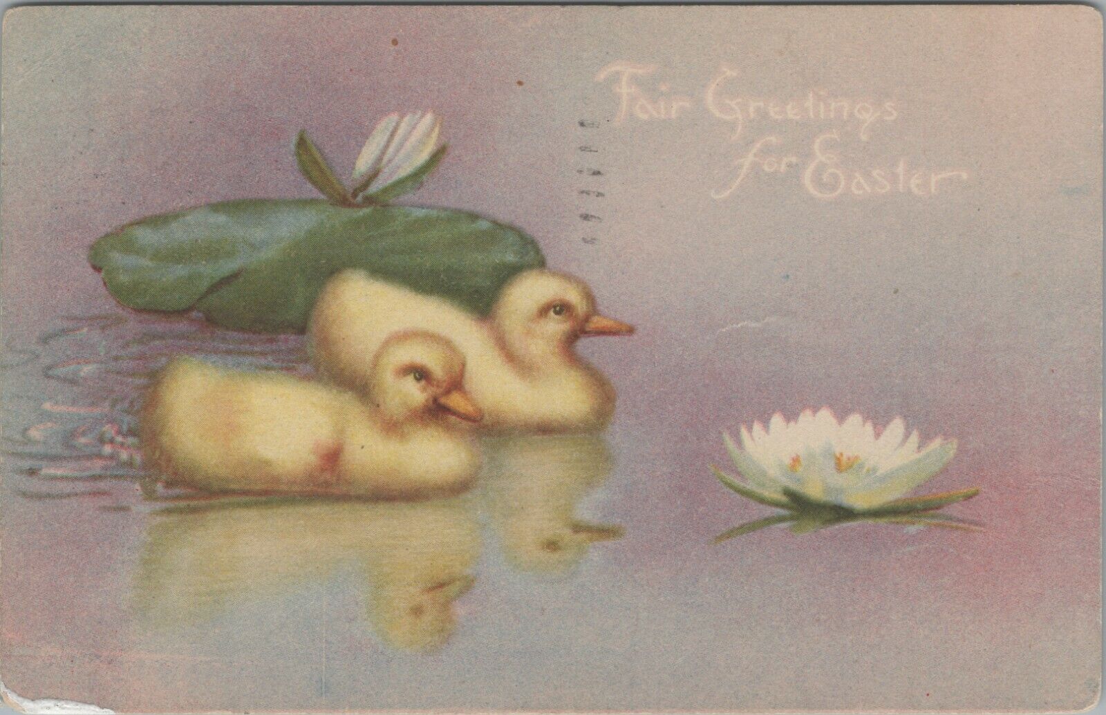 Easter Greetings Ducklings Water Lilies postcard G176
