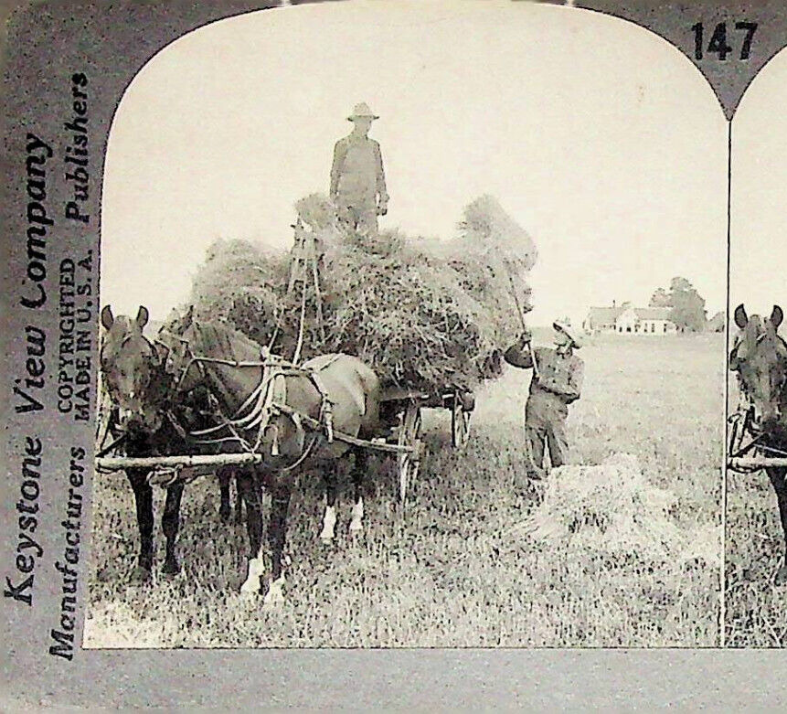 Hay Oats Wagon Horse Team Illiinois Photograph Keystone Stereoview Card